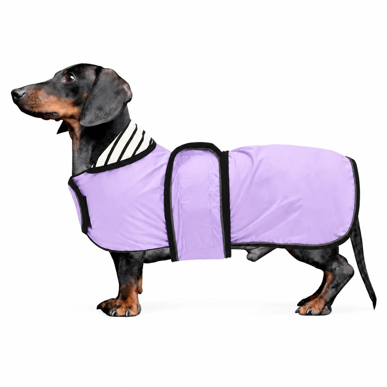 Impermeabile per cani Morezi, taglia regolabile, Viola, L - immagine 1