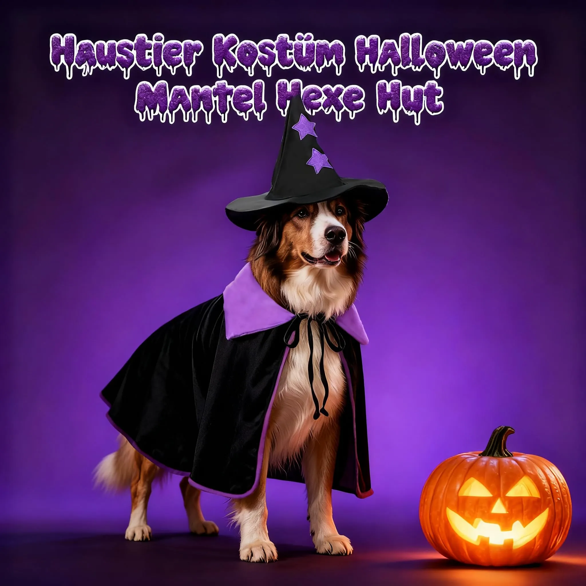 Sbayool Costume di Halloween per Cani Grandi, Mantello da Mago e Cappello da Strega, L - immagine 6