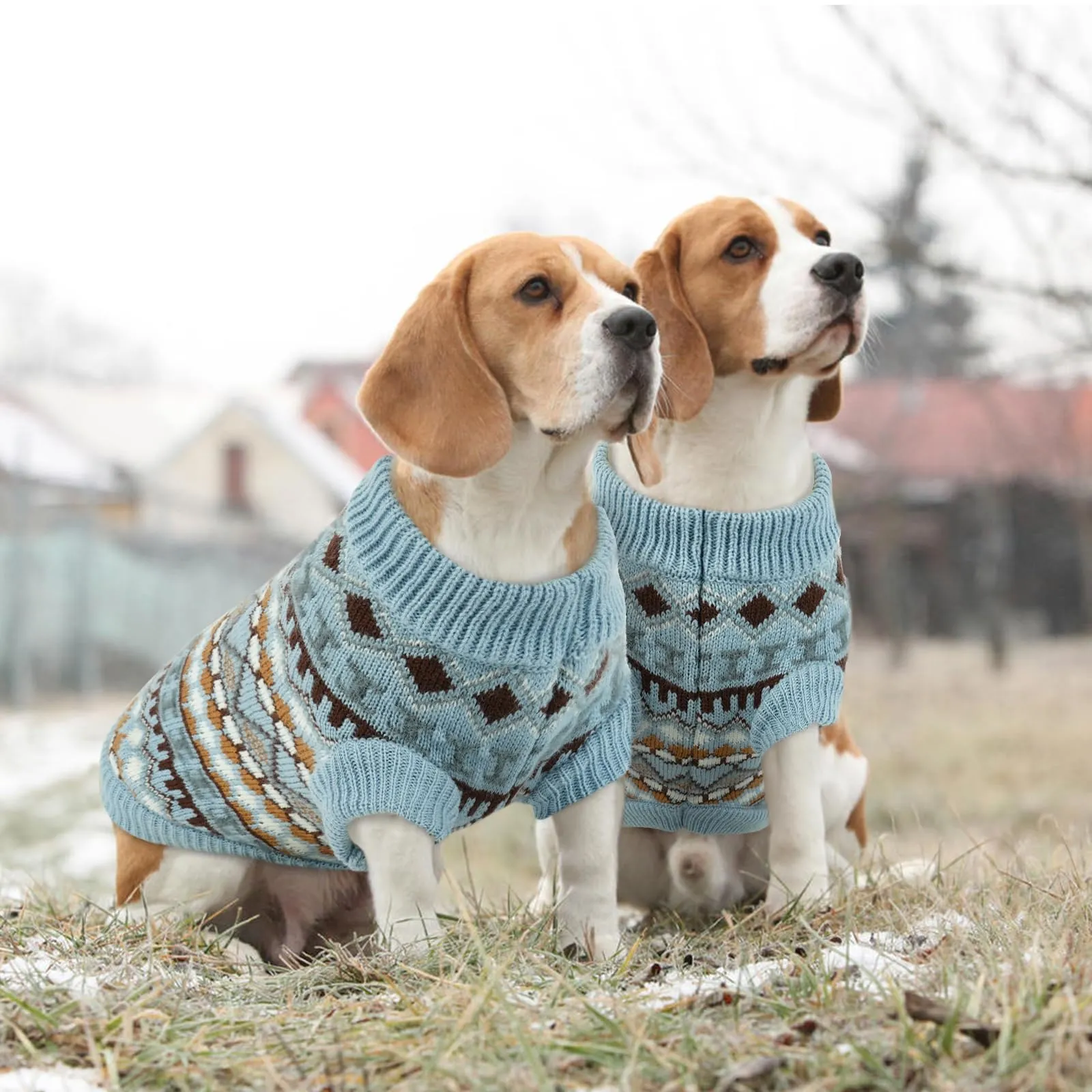 Hjumarayan Maglione per Cani Stile Bohémien, Caldo e Morbido con Apertura per Imbracatura, Taglia L, Celeste - immagine 5