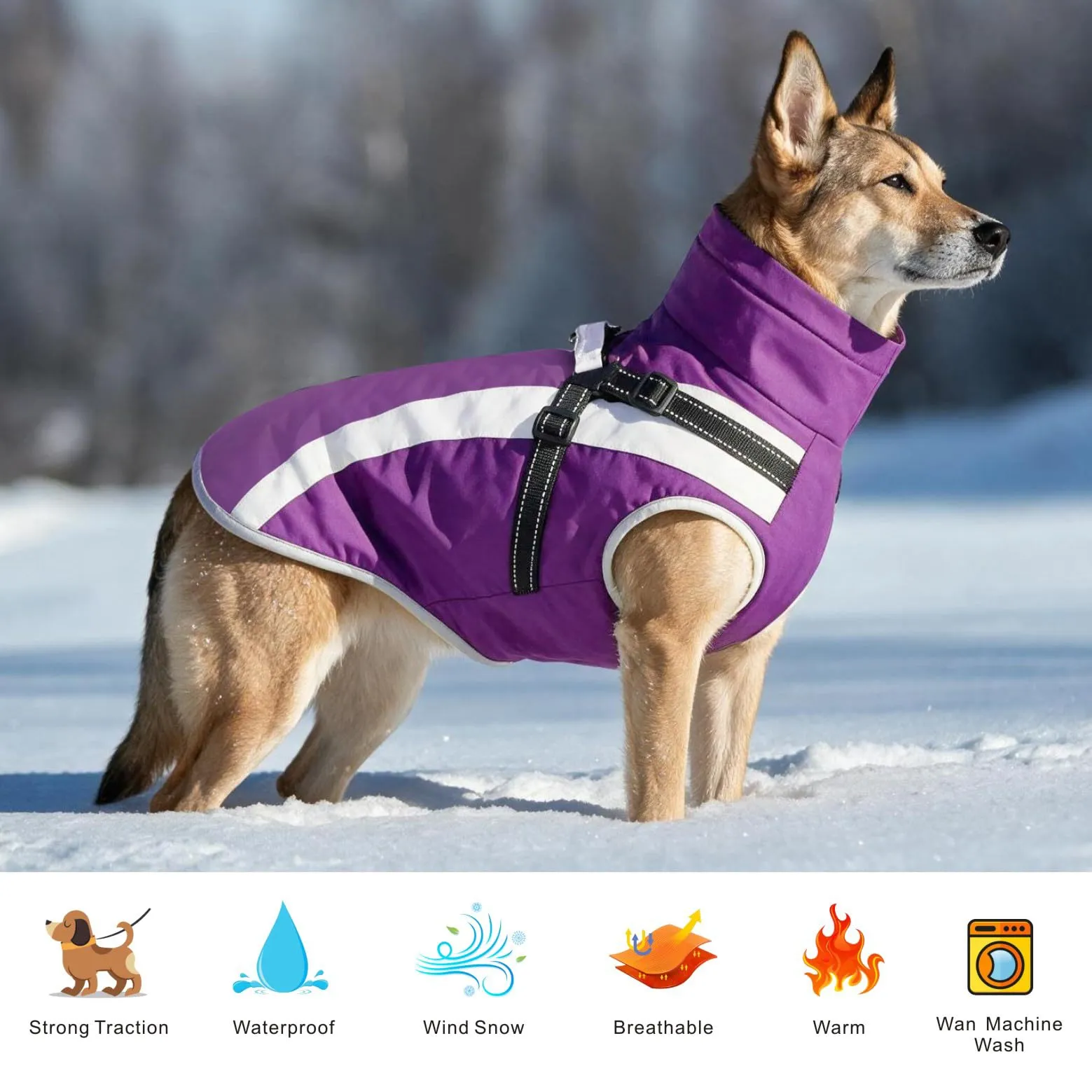 Oslueidy Cappotto Impermeabile per Cane con Harness, Giacca Calda Antivento per Cani di Piccola e Media Taglia, 3XL, Violetta - immagine 5