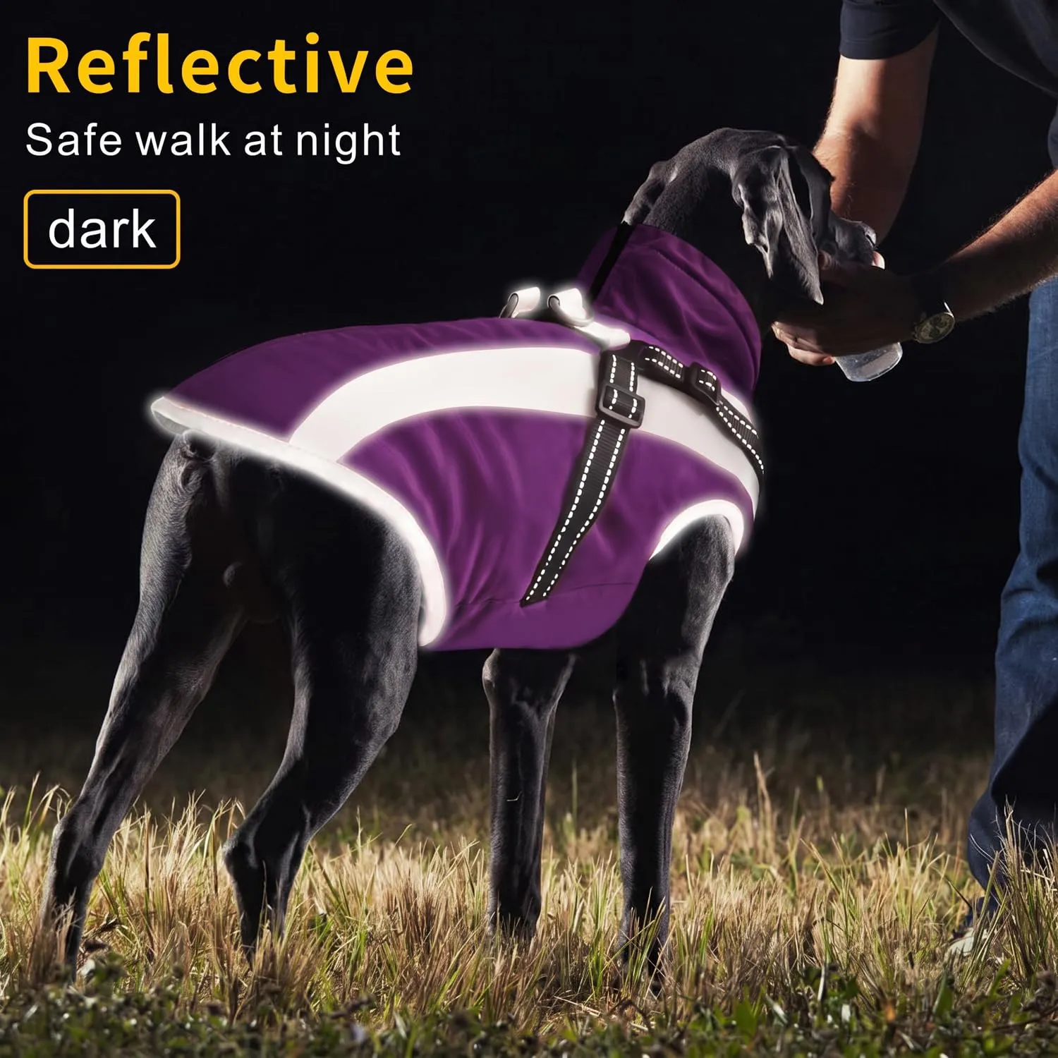 Oslueidy Cappotto Impermeabile per Cane con Harness, Giacca Calda Antivento per Cani di Piccola e Media Taglia, 3XL, Violetta - immagine 6