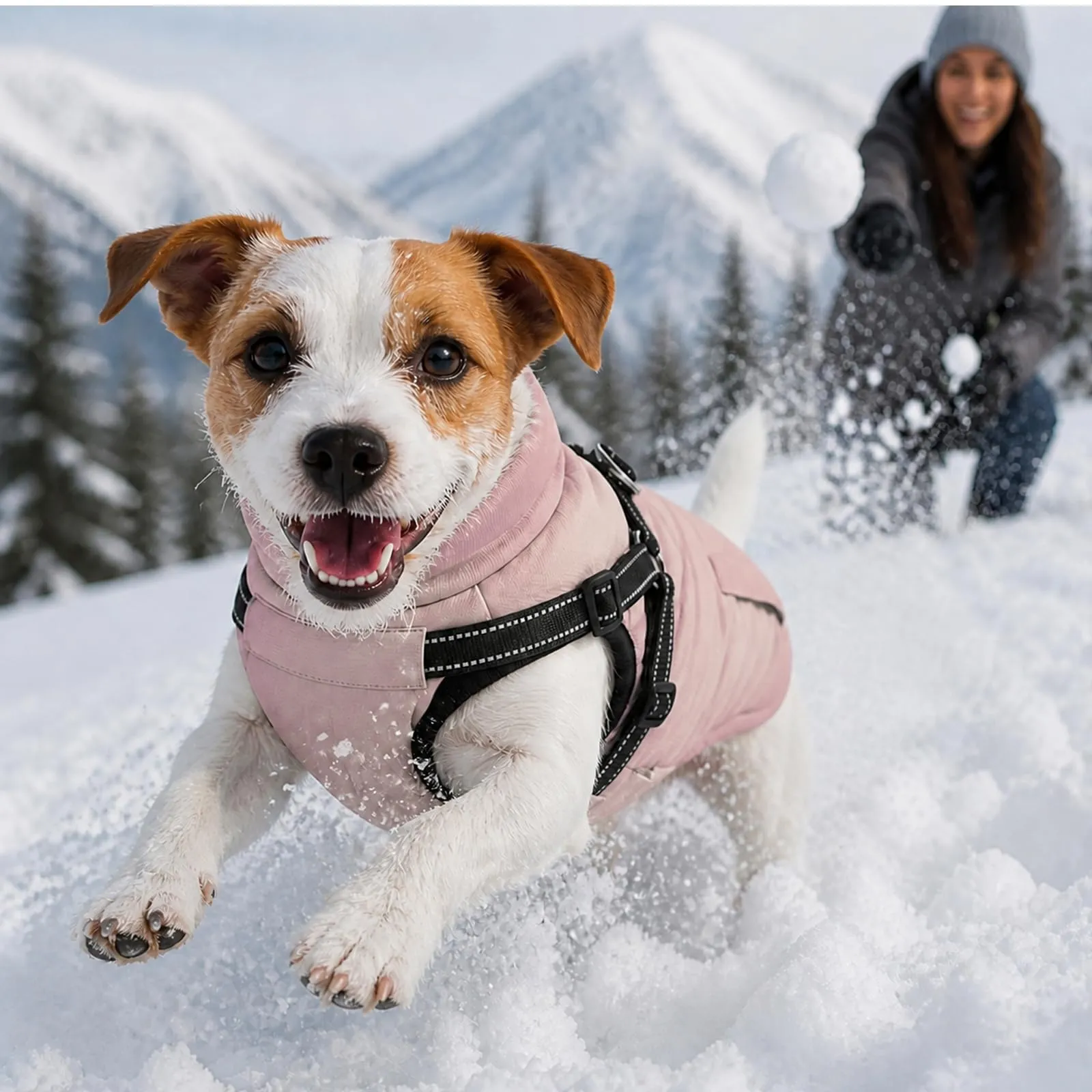DoggieKit Cappotto Invernale Impermeabile per Cani con Pettorina, Rosa, Taglia S - immagine 8
