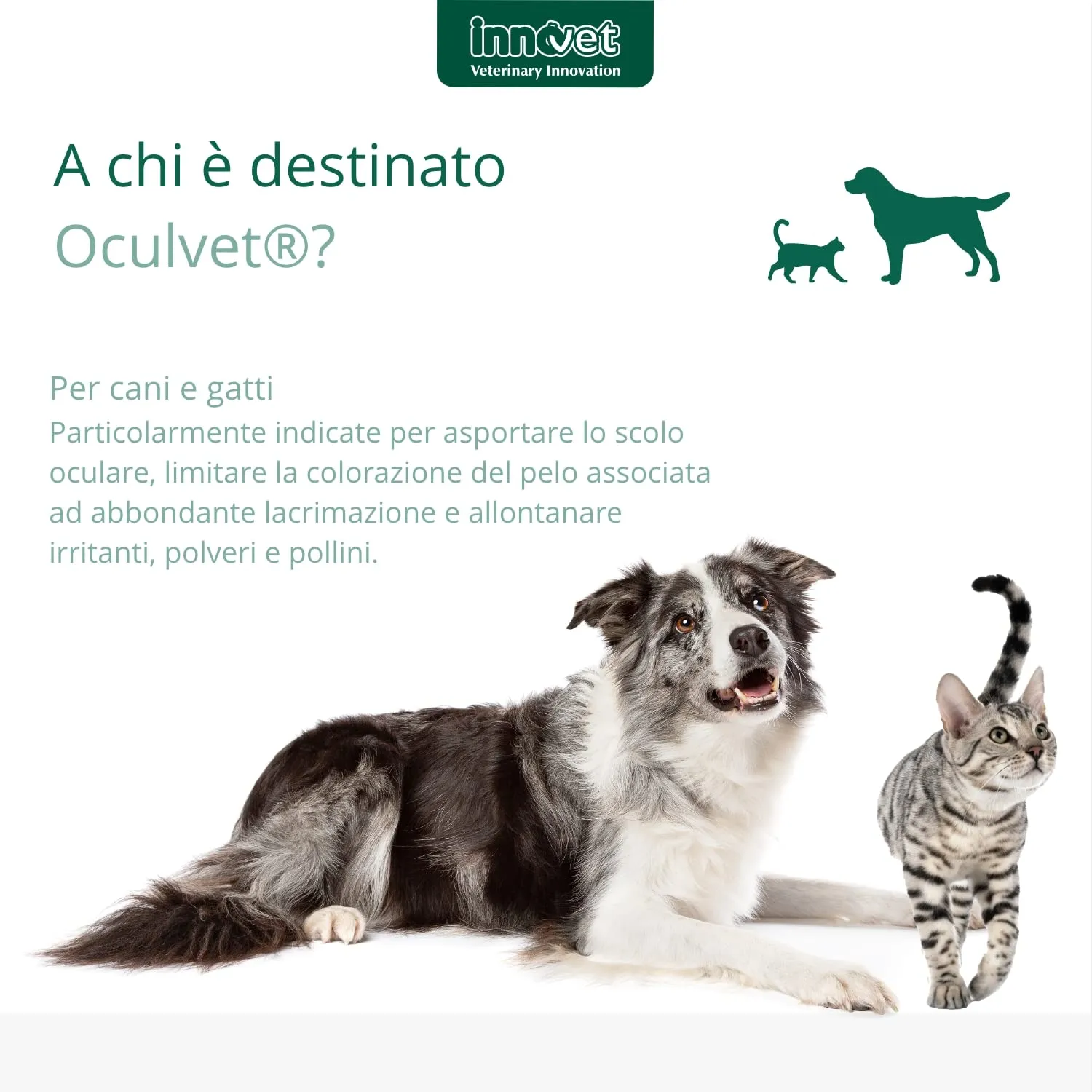 Innovet Oculvet Salviettine Oftalmiche per Cani e Gatti, 14 Salviettine - immagine 4