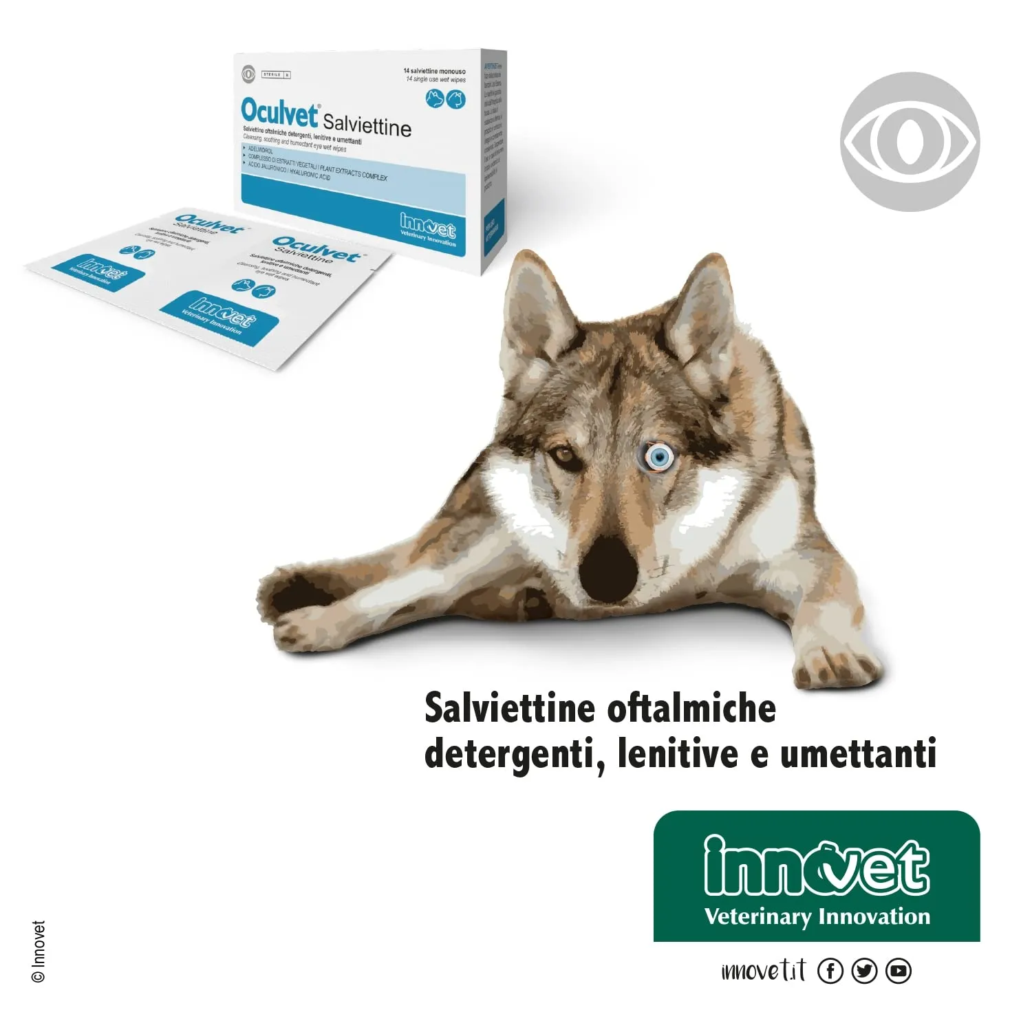 Innovet Oculvet Salviettine Oftalmiche per Cani e Gatti, 14 Salviettine - immagine 6