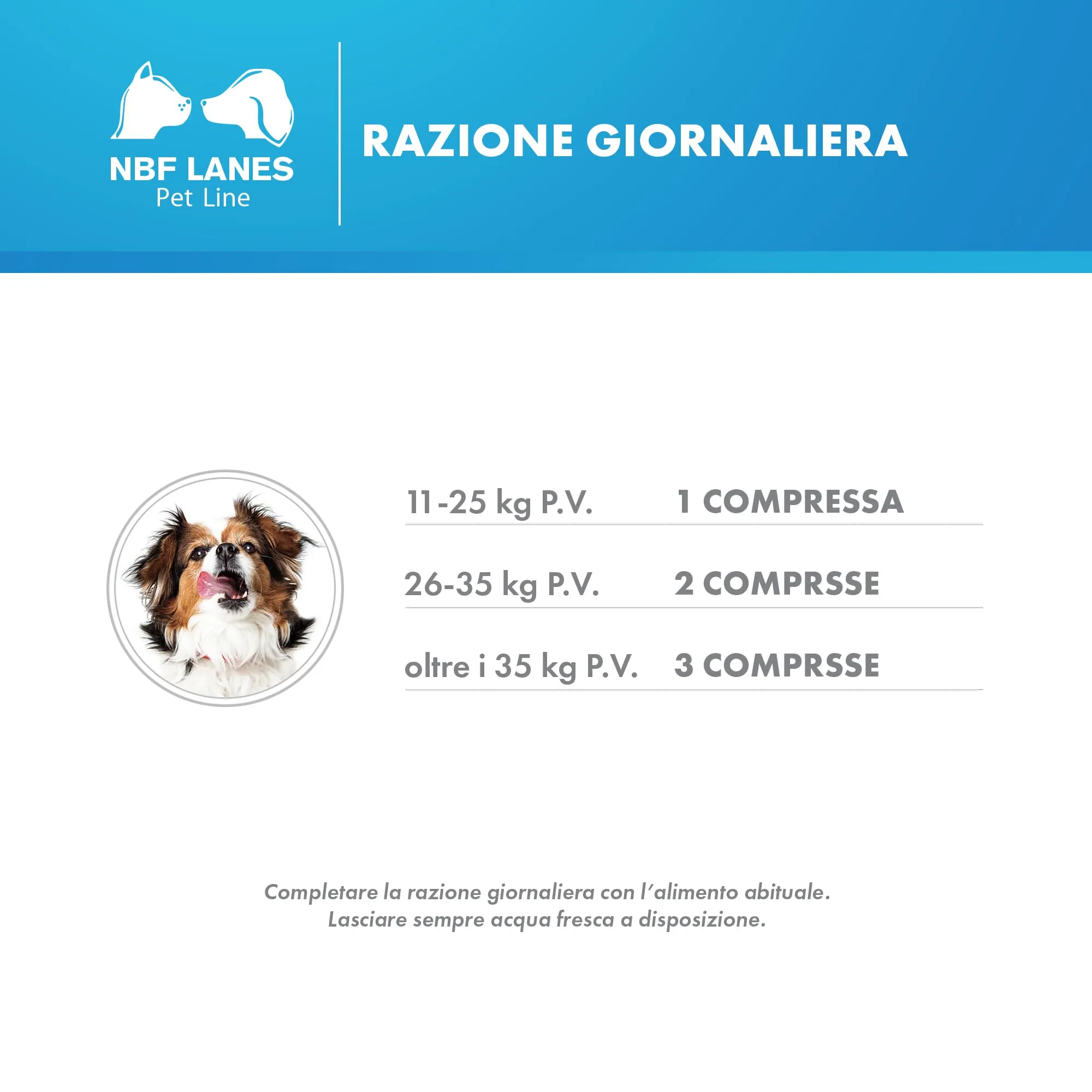 NBF Lanes Drenalase Pet Cane, 20 Compresse a Rilascio Modificato - immagine 4