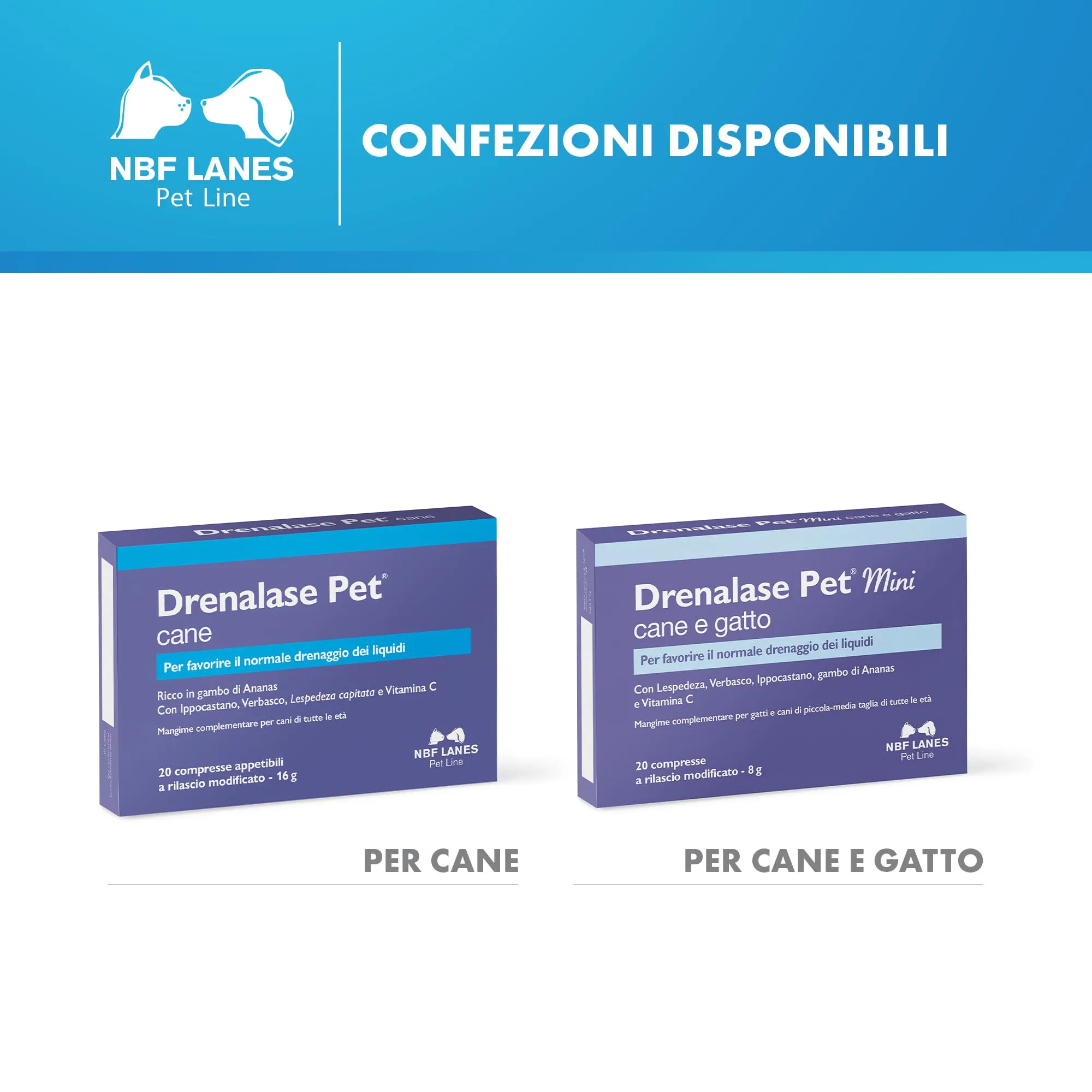 NBF Lanes Drenalase Pet Cane, 20 Compresse a Rilascio Modificato - immagine 6