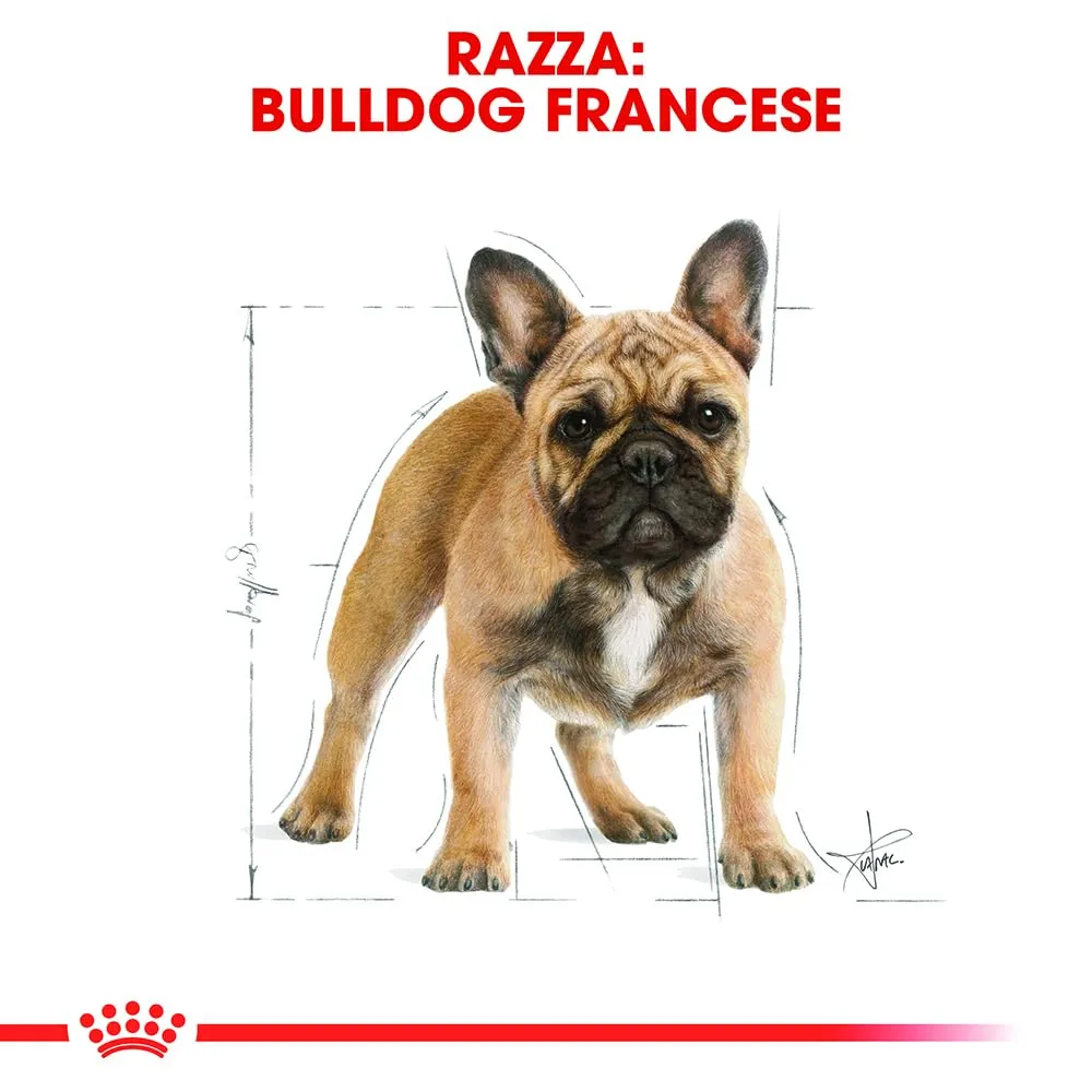 Royal Canin French Bulldog Adult Cibo Secco per Cani, 9kg - immagine 3