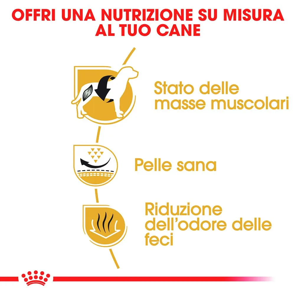 Royal Canin French Bulldog Adult Cibo Secco per Cani, 9kg - immagine 5