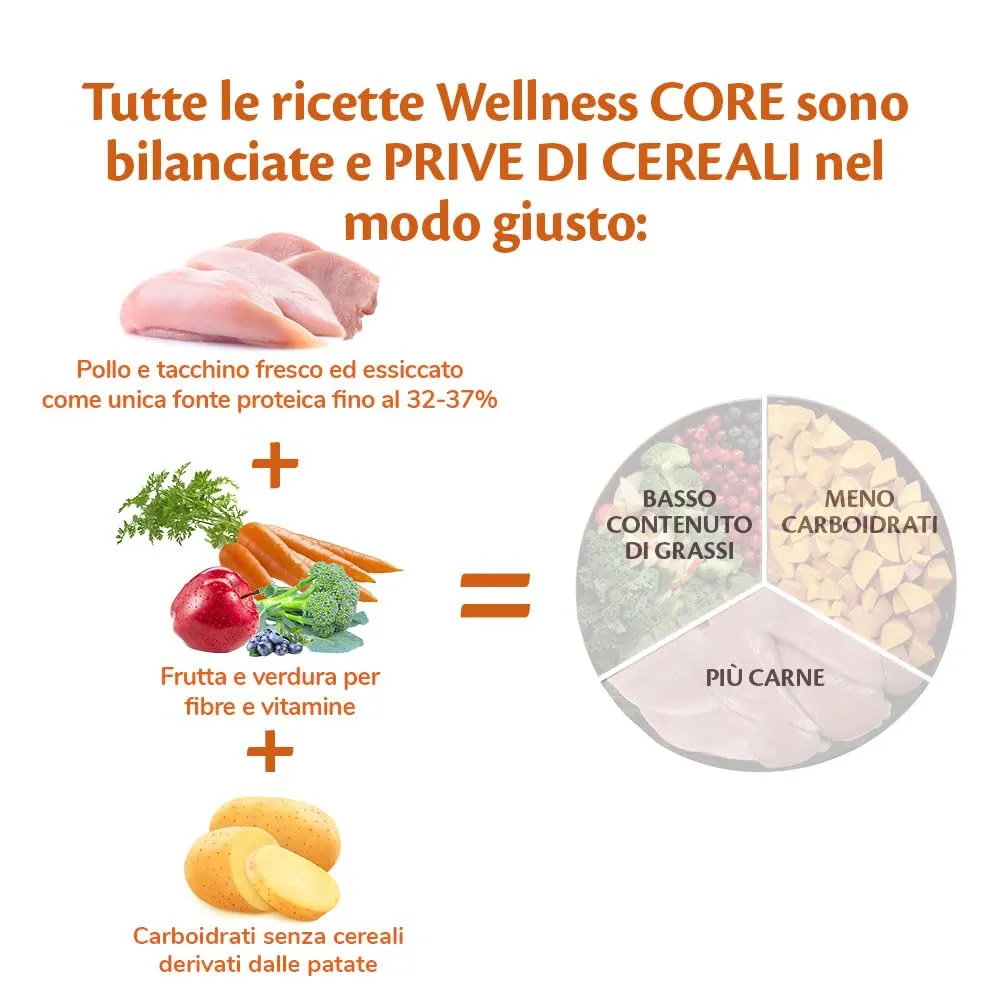 Wellness CORE Cucciolo Pollo & Tacchino, 1.5kg - immagine 5