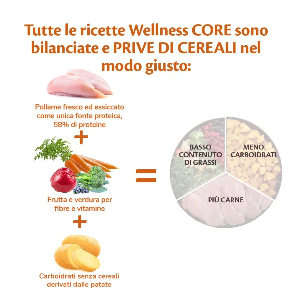 Wellness CORE Cucciolo Pollo, 2.75 kg - immagine 4
