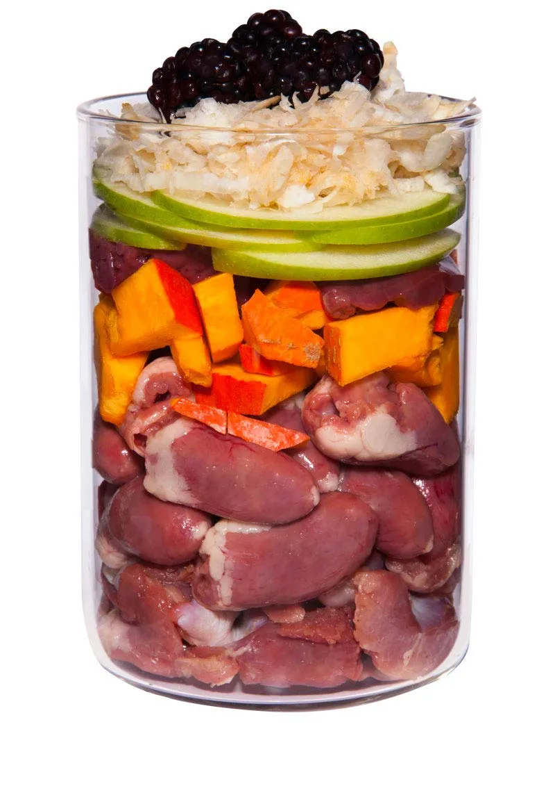 Terra Canis Pollo con pastinaca, dente di leone e camomilla, 12 x 400 g - immagine 2