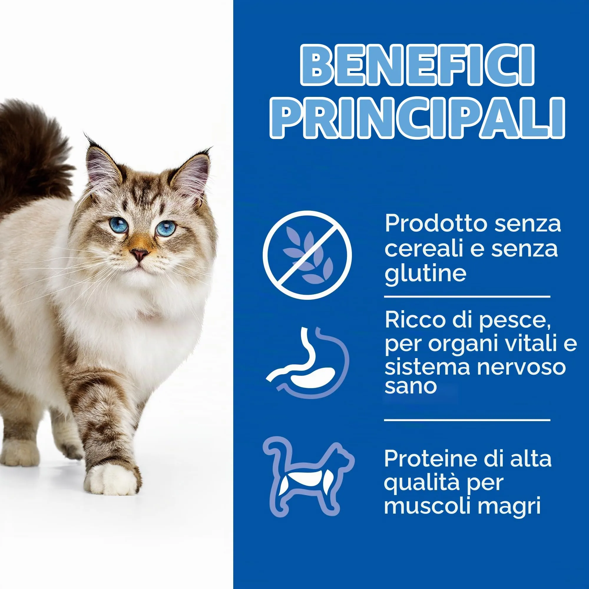 Hill's Science Plan Gatto Adult No Grain Pollo 1.5 kg - immagine 4