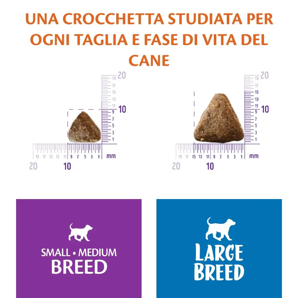 Wellness CORE Puppy Ocean Salmone & Pesce Bianco, 5kg - immagine 3