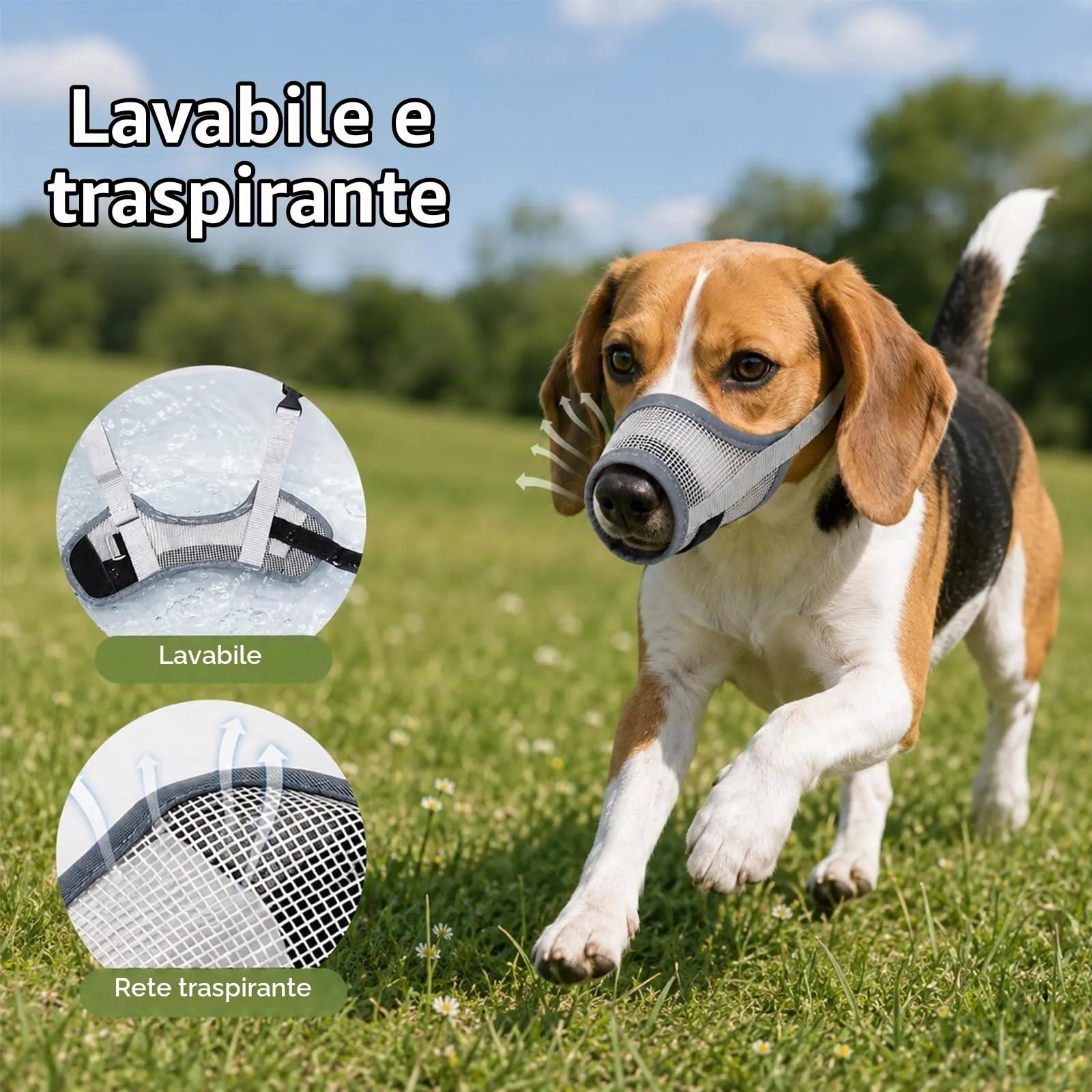 ZEMINRI Museruola Cane Leggera Anti Morso Regolabile, Taglia M - immagine 4