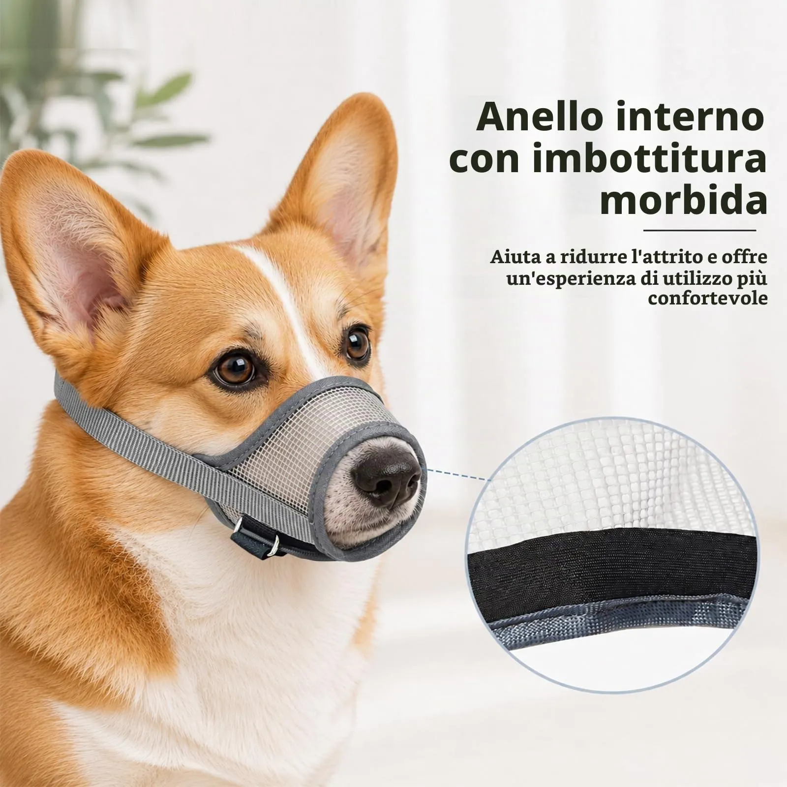 ZEMINRI Museruola Cane Leggera Anti Morso Regolabile, Taglia M - immagine 5
