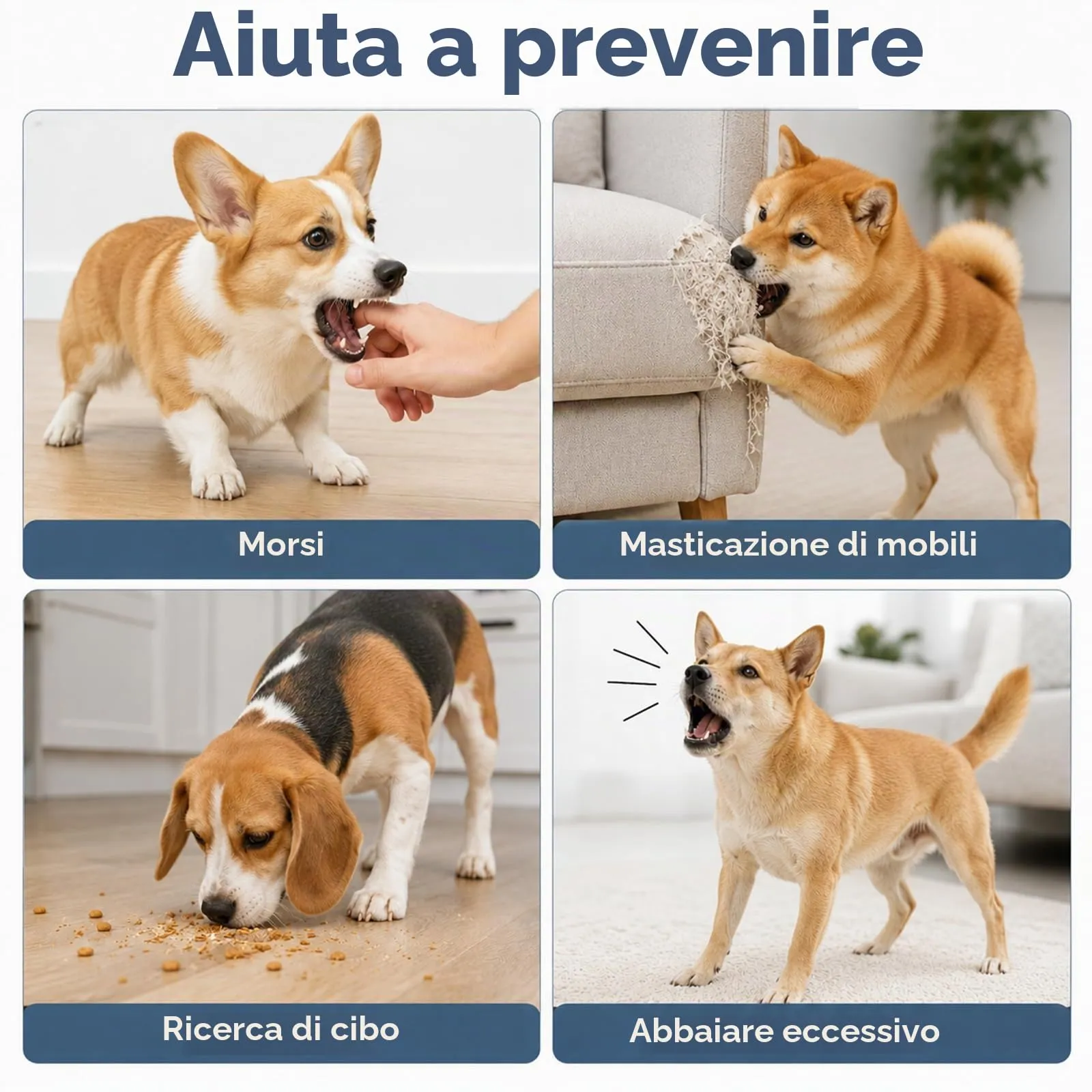 ZEMINRI Museruola Cane Leggera Anti Morso Regolabile, Taglia M - immagine 6