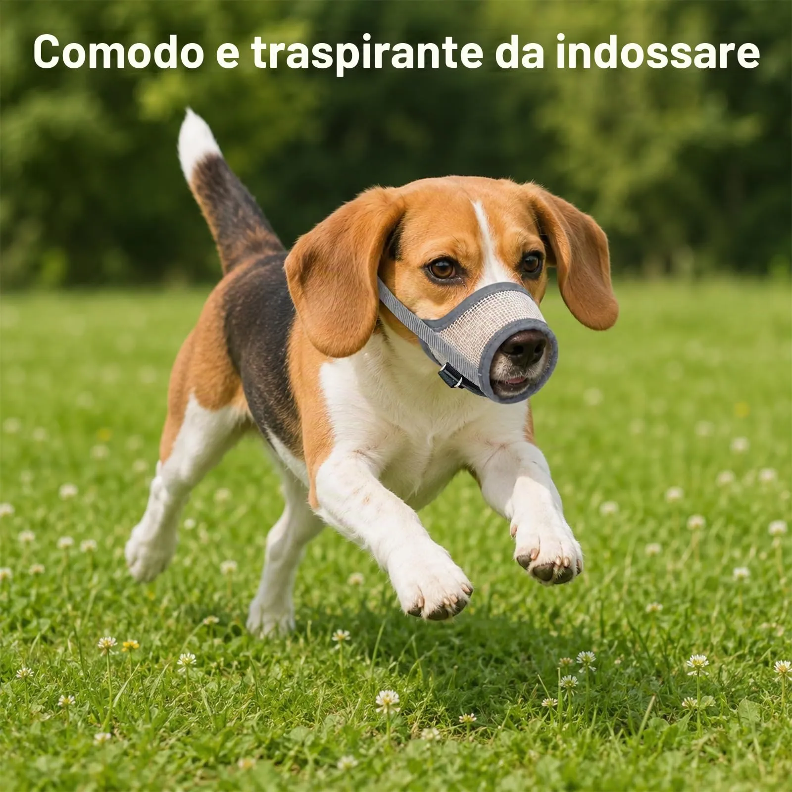 ZEMINRI Museruola Cane Leggera Anti Morso Regolabile, Taglia M - immagine 9
