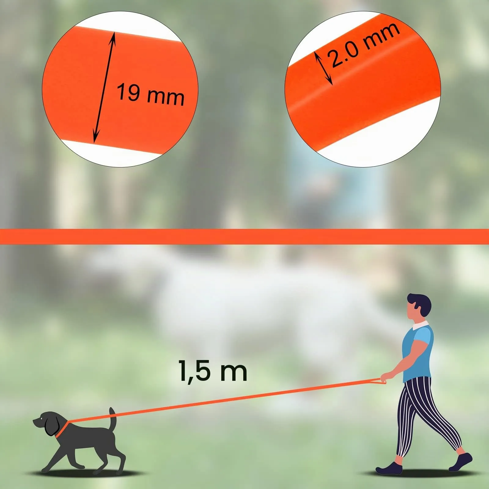 Wolfone Guinzaglio Addestramento Cani, Arancione, 1,5m - immagine 8