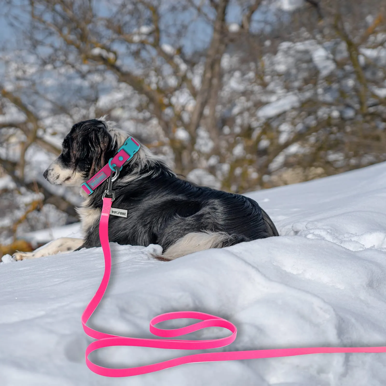 Wolfone Guinzaglio Addestramento Cani, Rosa, 1,5m - immagine 7