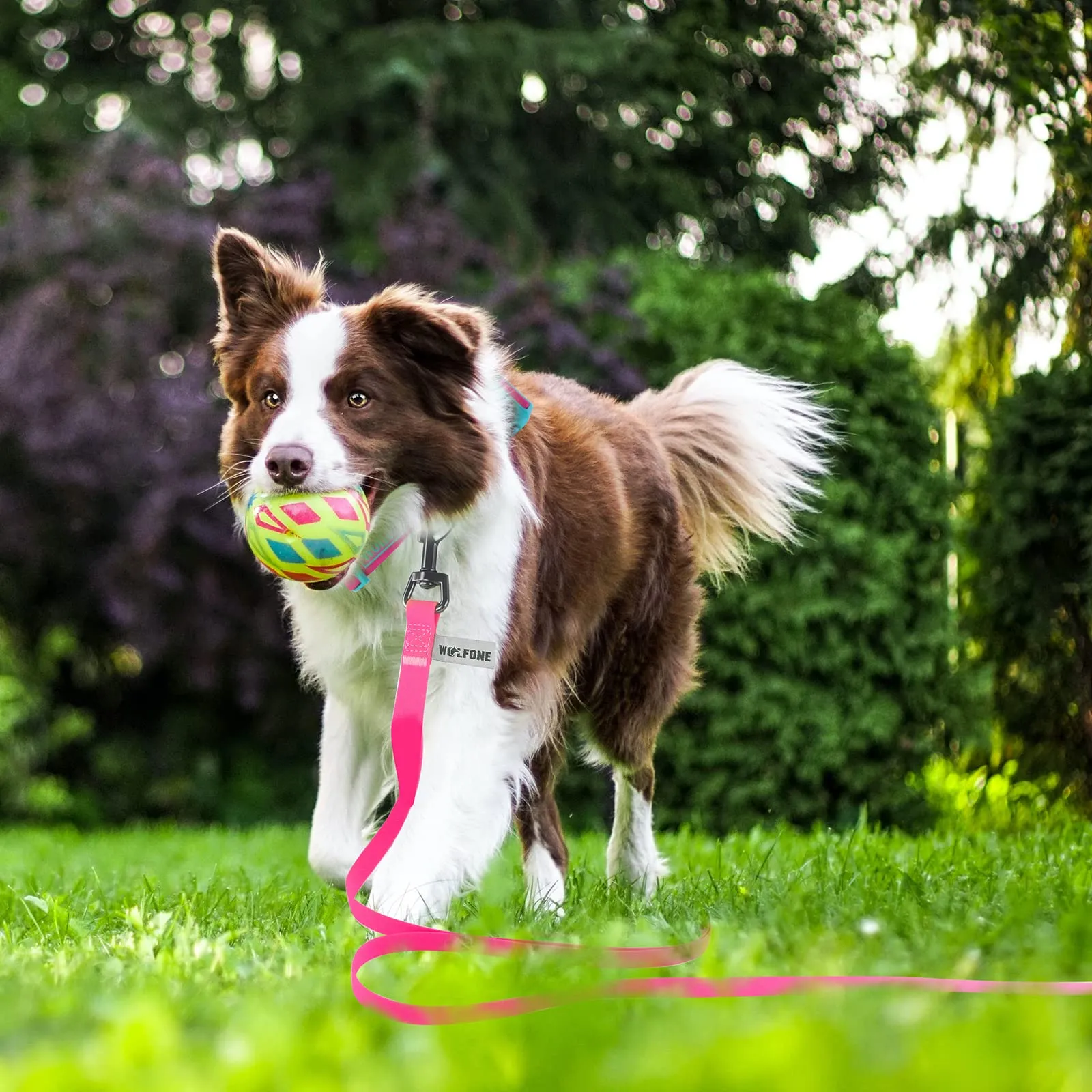 Wolfone Guinzaglio per cani da addestramento, 3m, Rosa - immagine 5