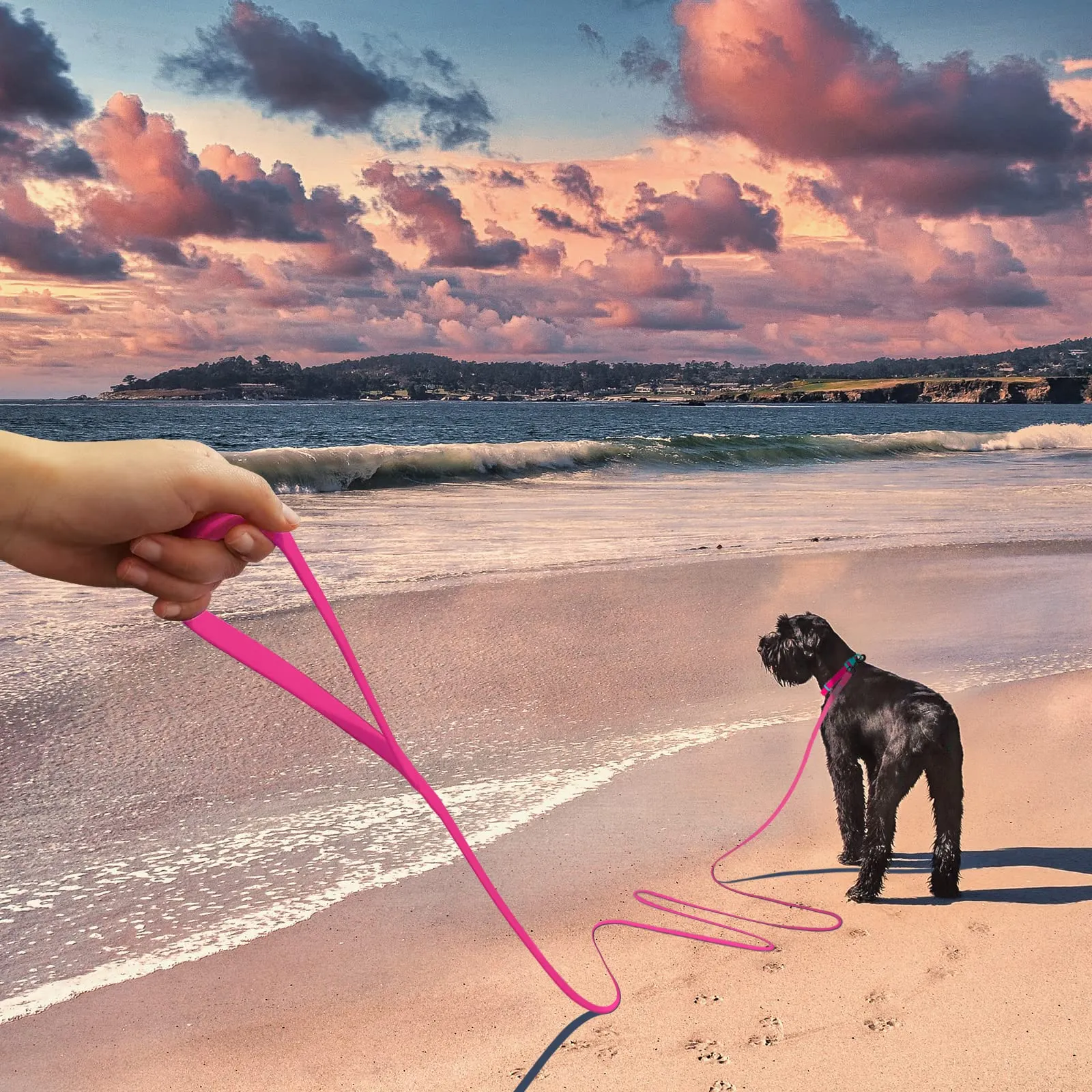 Wolfone Guinzaglio per cani da addestramento, 9m, Rosa - immagine 4