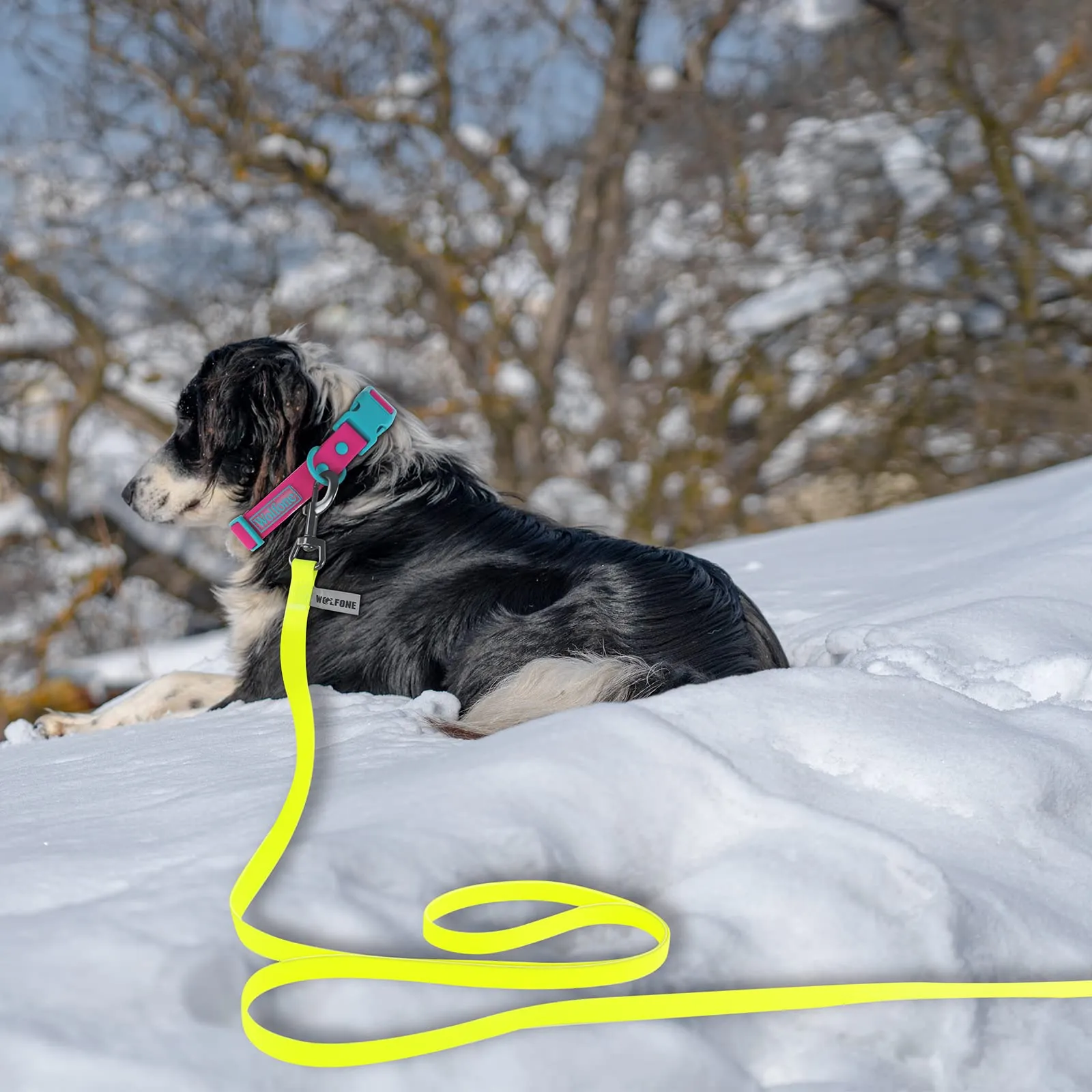 Wolfone Guinzaglio per cani da addestramento, 6m, Giallo - immagine 6