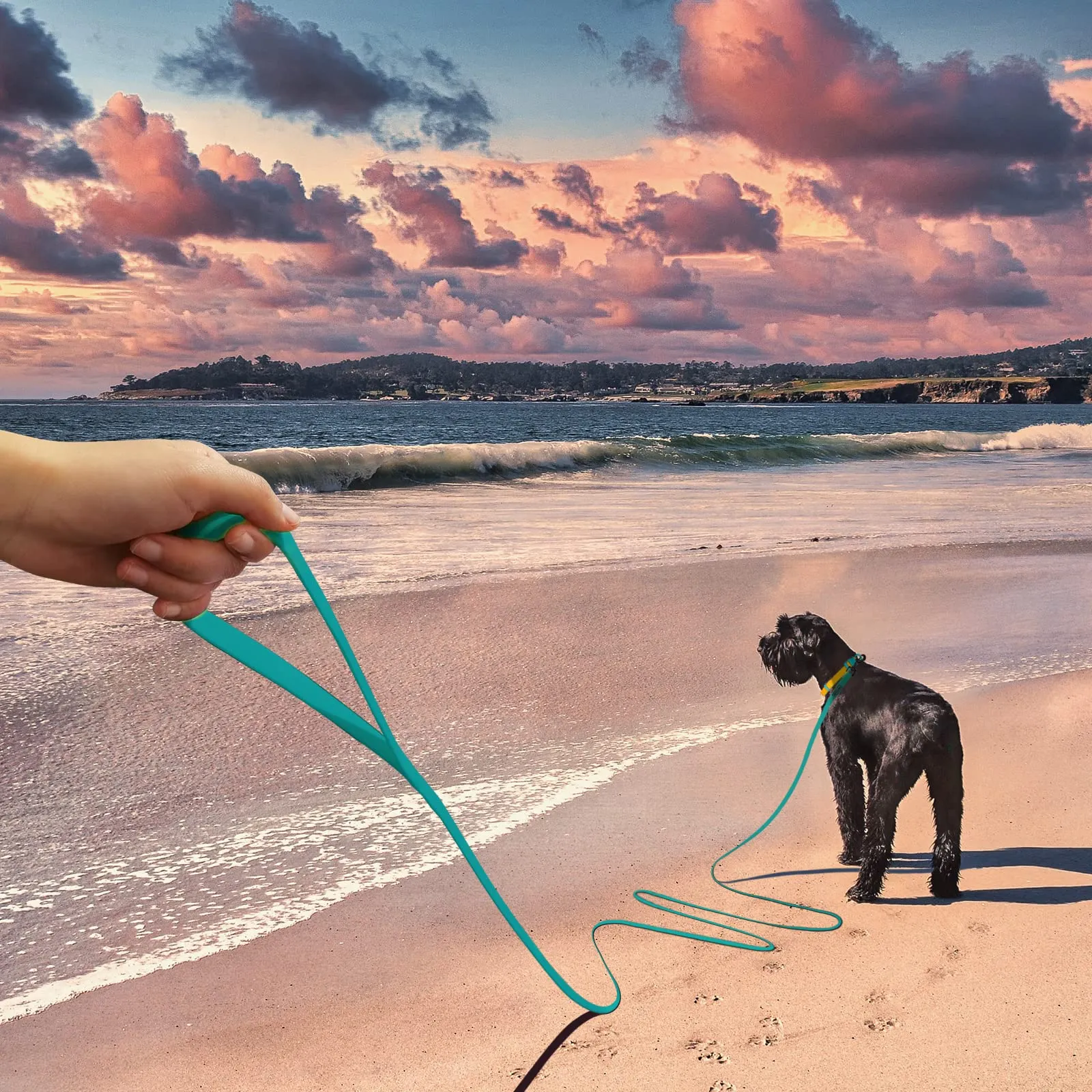 Wolfone Guinzaglio per cani da addestramento, 6m, Verde smeraldo - immagine 3