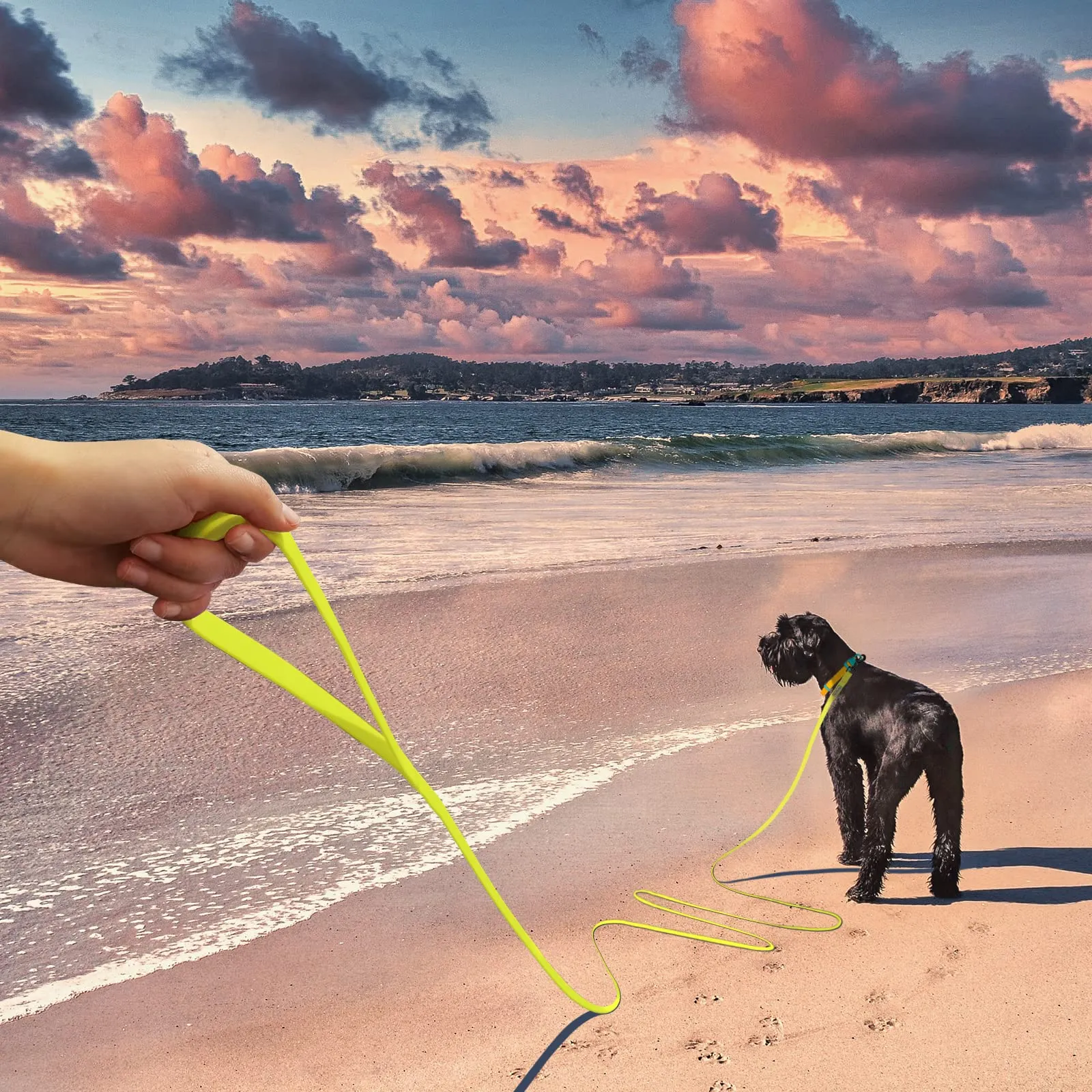Wolfone Guinzaglio per cani da addestramento, 9m, Giallo - immagine 5