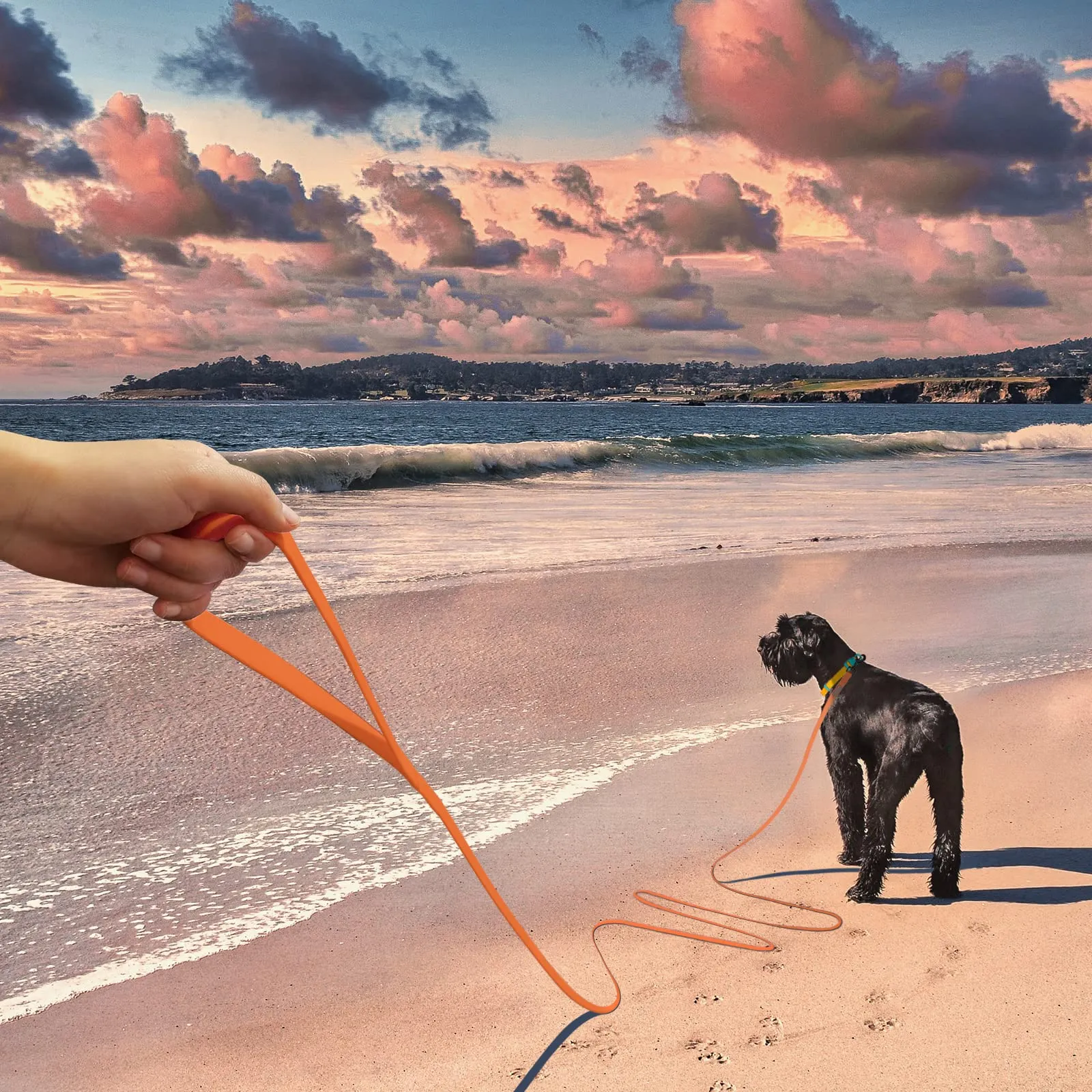 Wolfone Guinzaglio per cani da addestramento, Retrattile, 6m, Arancione - immagine 4