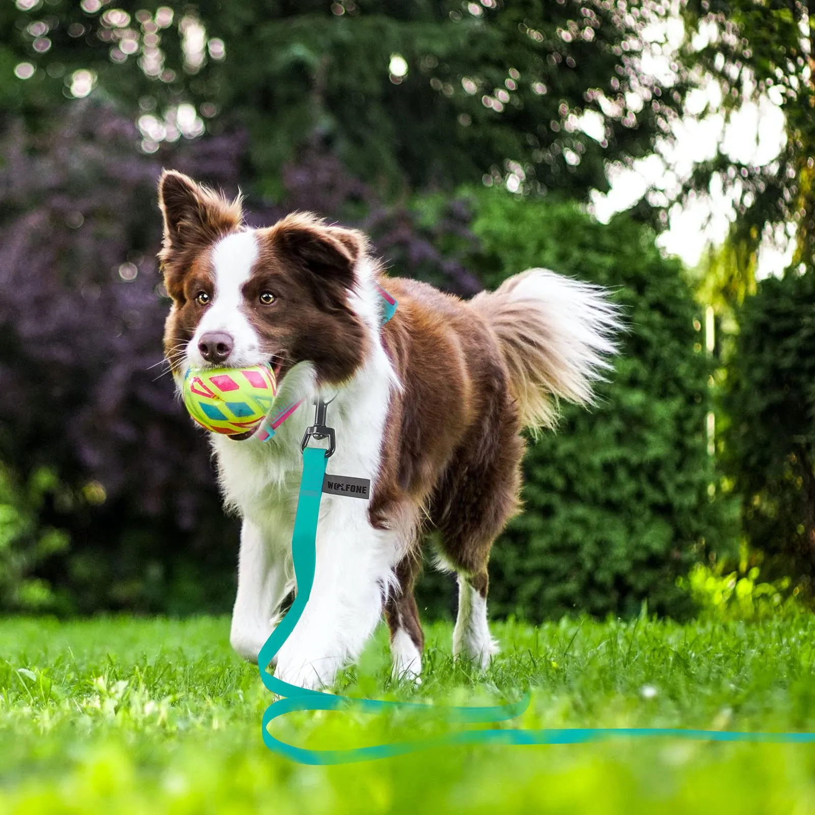 Wolfone Guinzaglio per cani da addestramento, 9m, Verde smeraldo - immagine 6