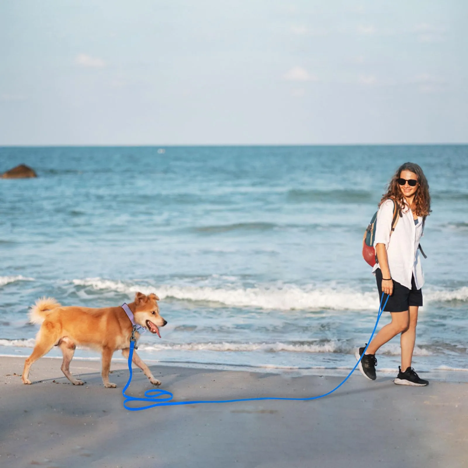 Wolfone Guinzaglio per cani da addestramento, 15m, Blu - immagine 4