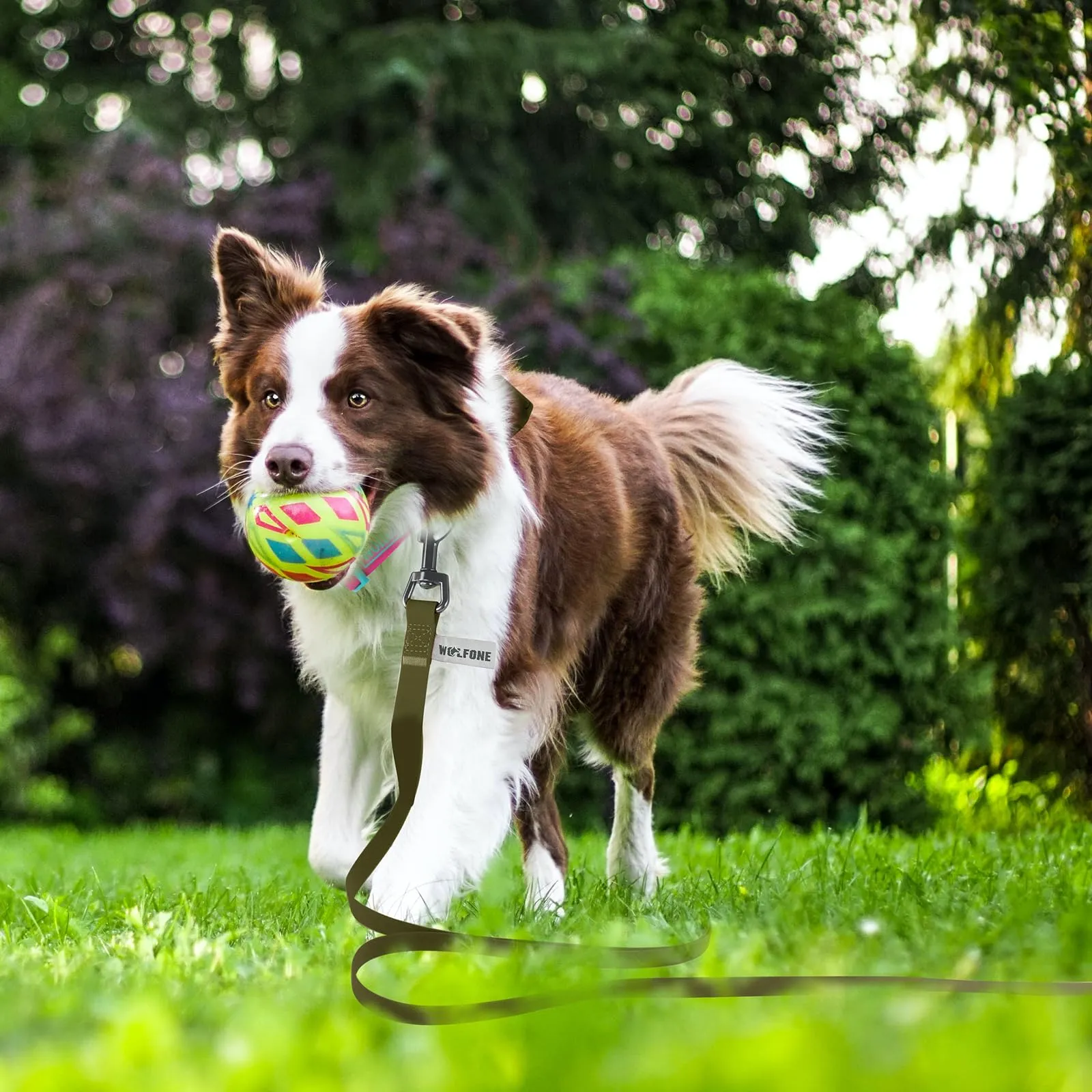 Wolfone Guinzaglio Addestramento Cani, 1,5 m, Verde Militare - immagine 5