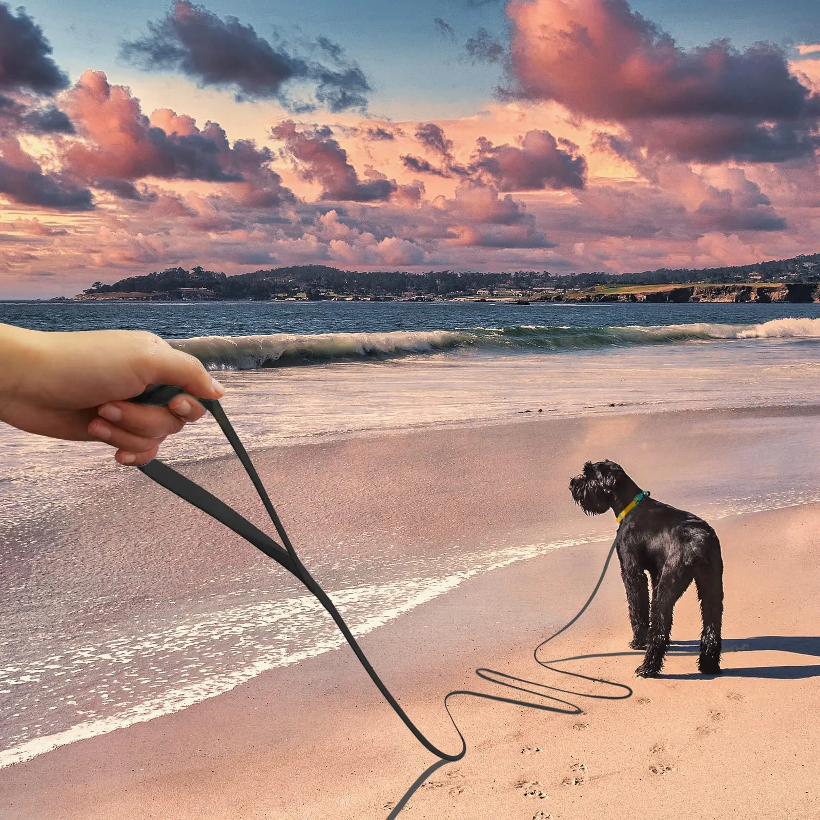 Wolfone Guinzaglio per cani da addestramento, 12m, Nero - immagine 4