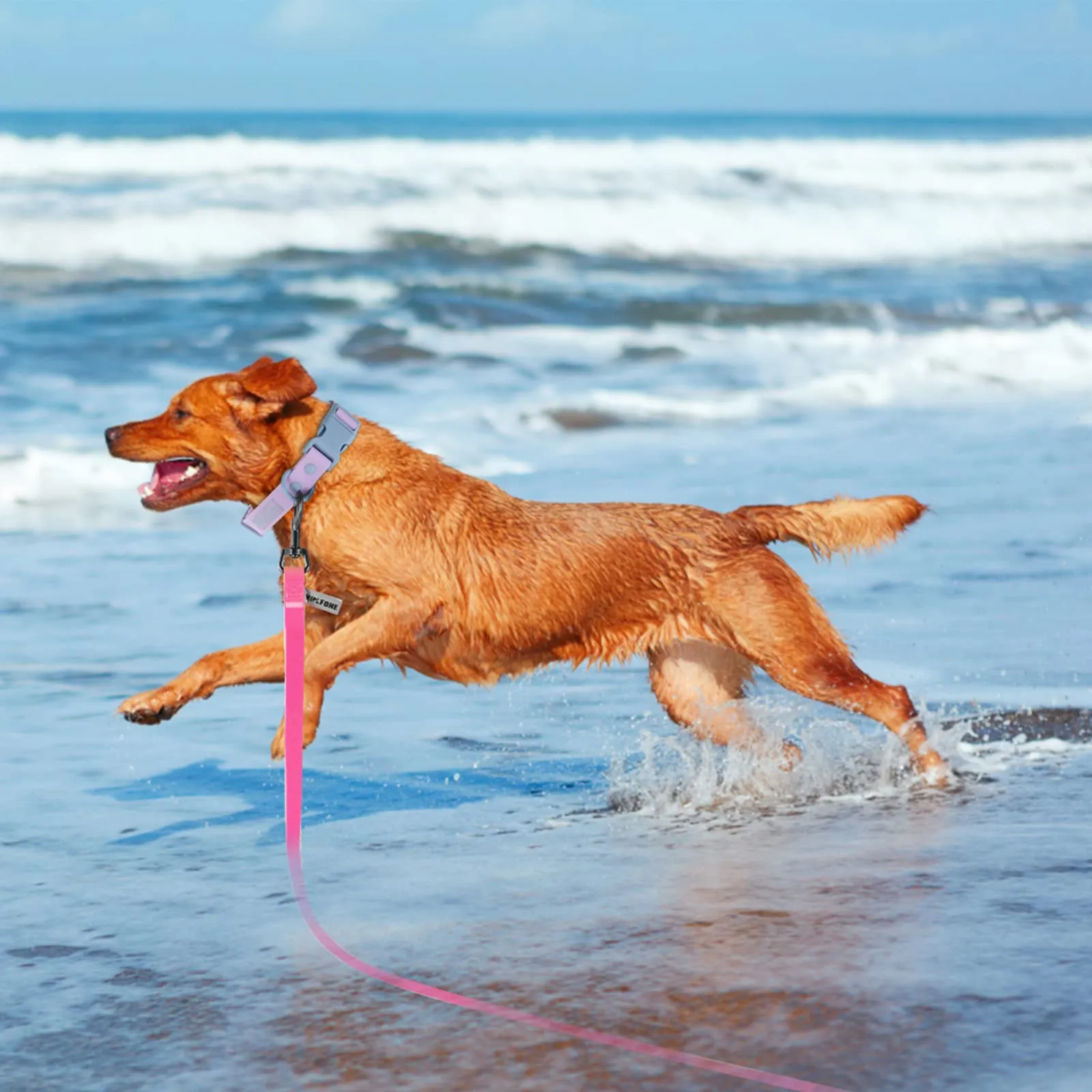 Wolfone Guinzaglio per cani da addestramento, 12m, Rosa - immagine 5