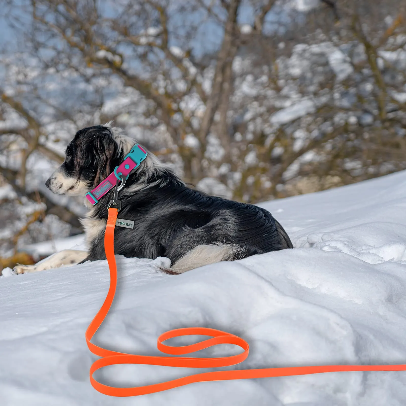 Wolfone Guinzaglio per cani da addestramento, 12m, Arancione - immagine 5