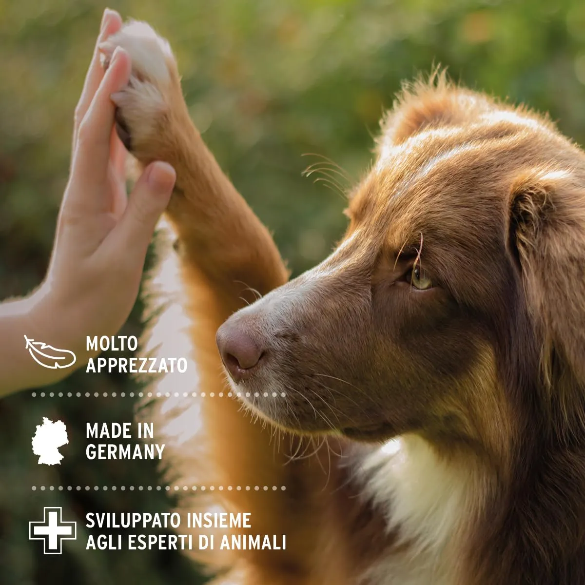 AniForte Denta Clean & Care Tartaro EX, Polvere per Pulizia Denti di Cani e Gatti, 300g - immagine 6