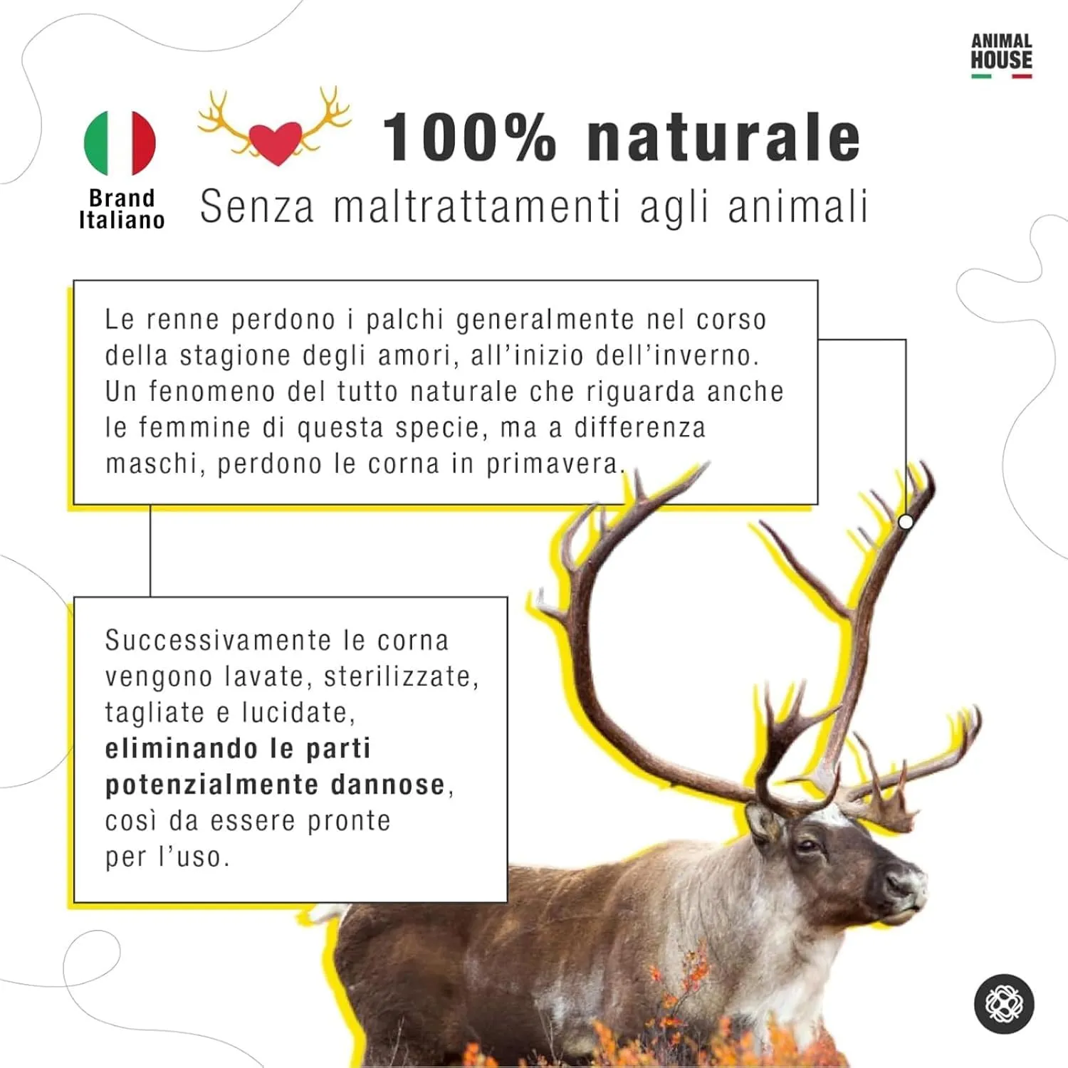 Animal House Corna di Renna per Cani, S - immagine 6