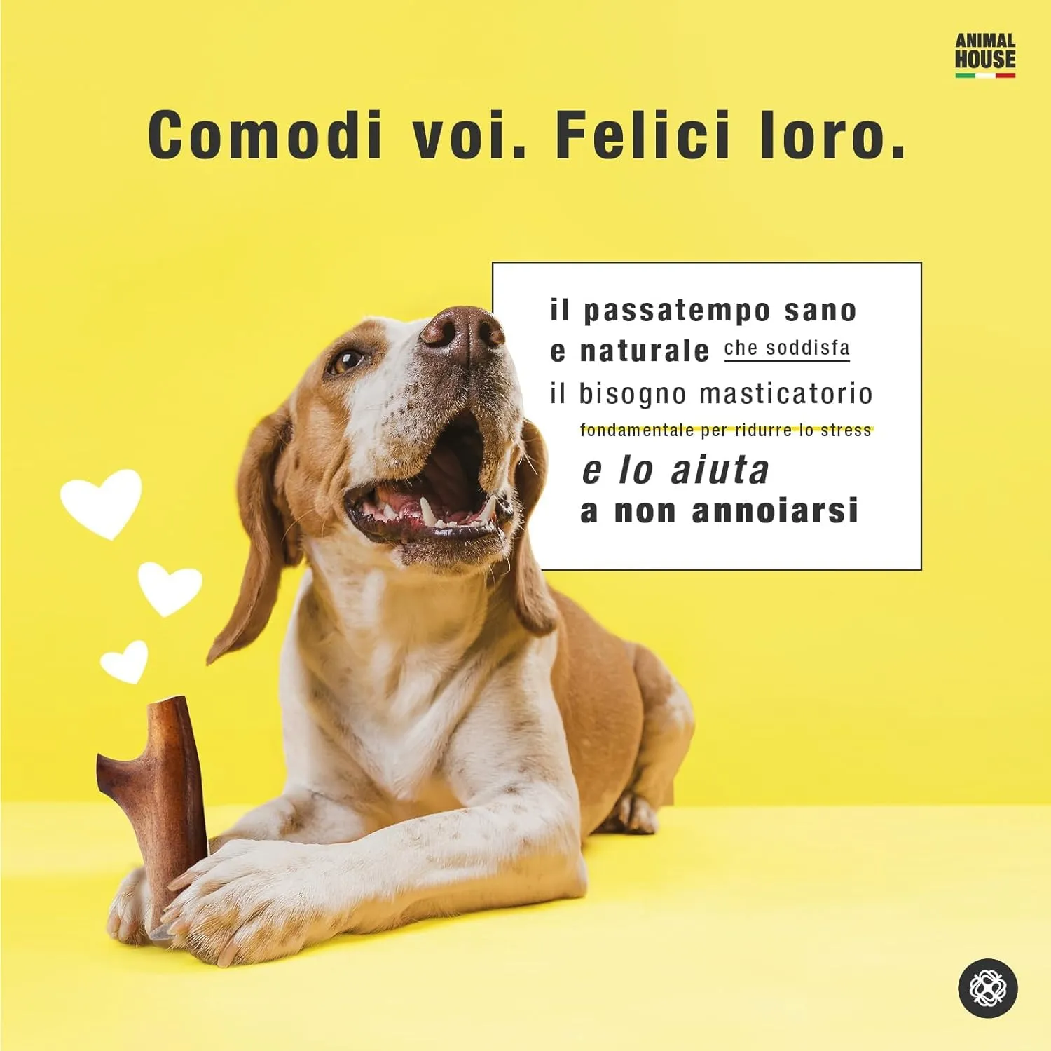 Animal House Corna di Renna per Cani, XS - immagine 4