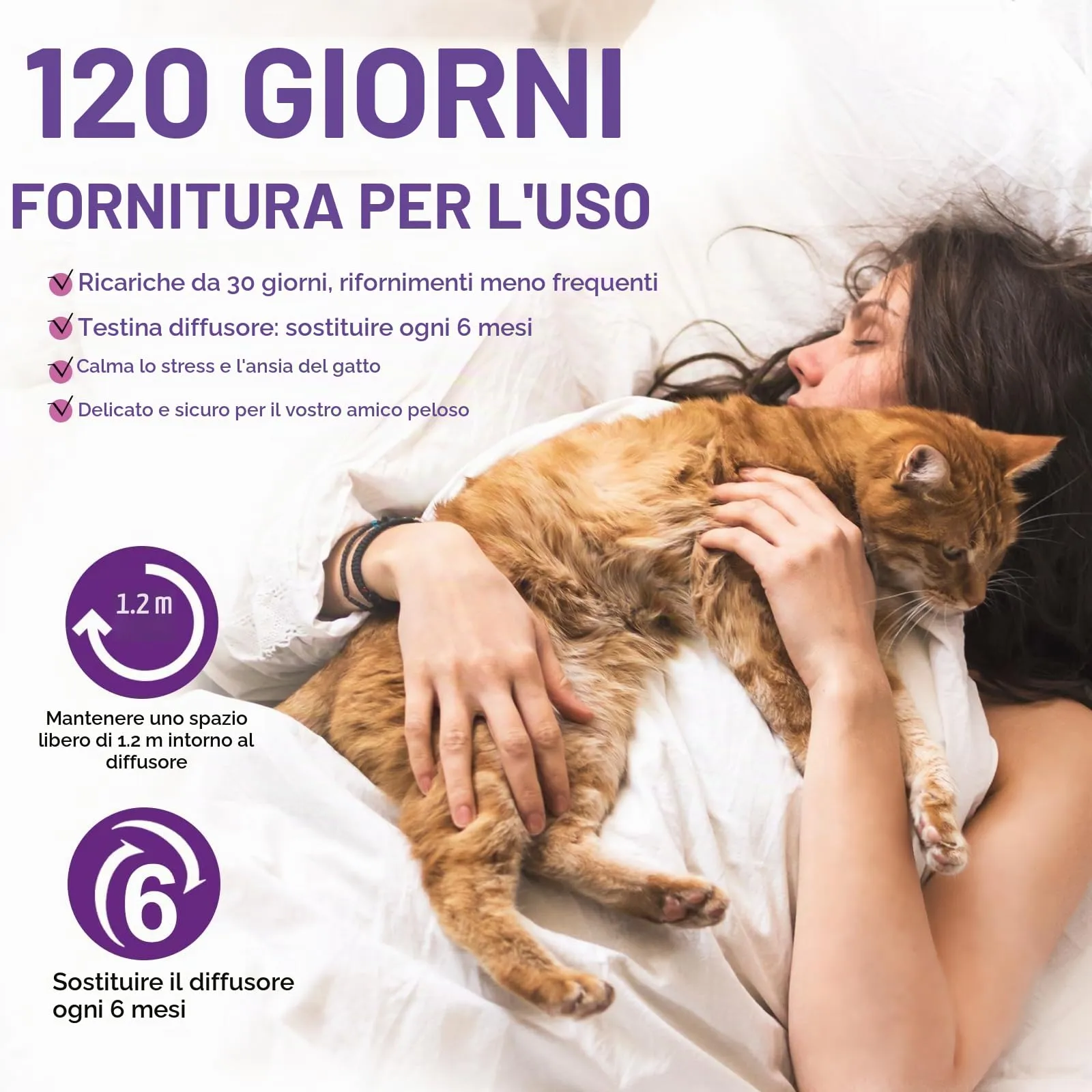 JJW Kit Diffusore di Feromoni Calmanti 6 in 1 per Gatti, 2 Diffusori e 4 Ricariche, Viola, S - immagine 4