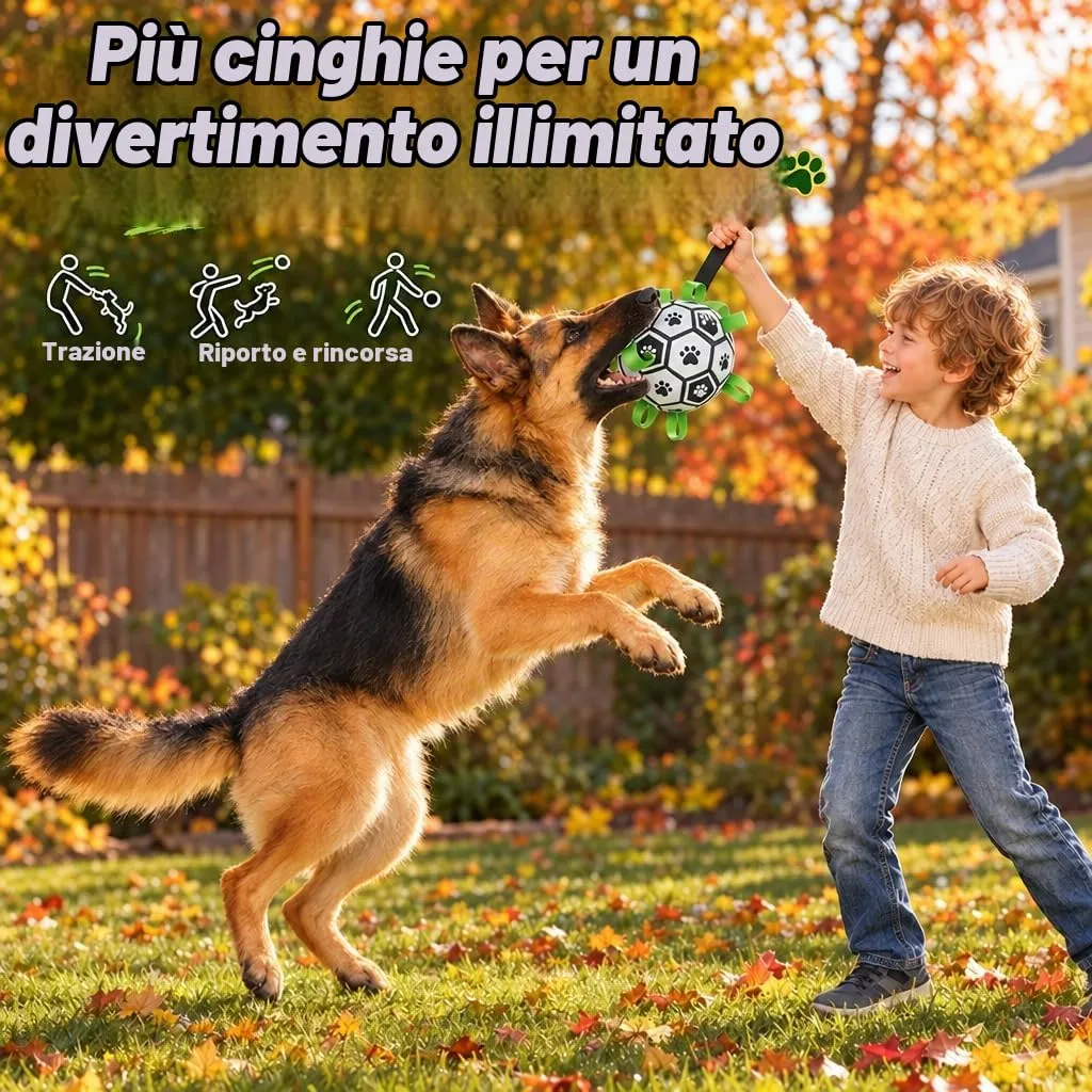 Kylinsure Pallone da calcio per cani con manico e pompa, taglia L - immagine 5