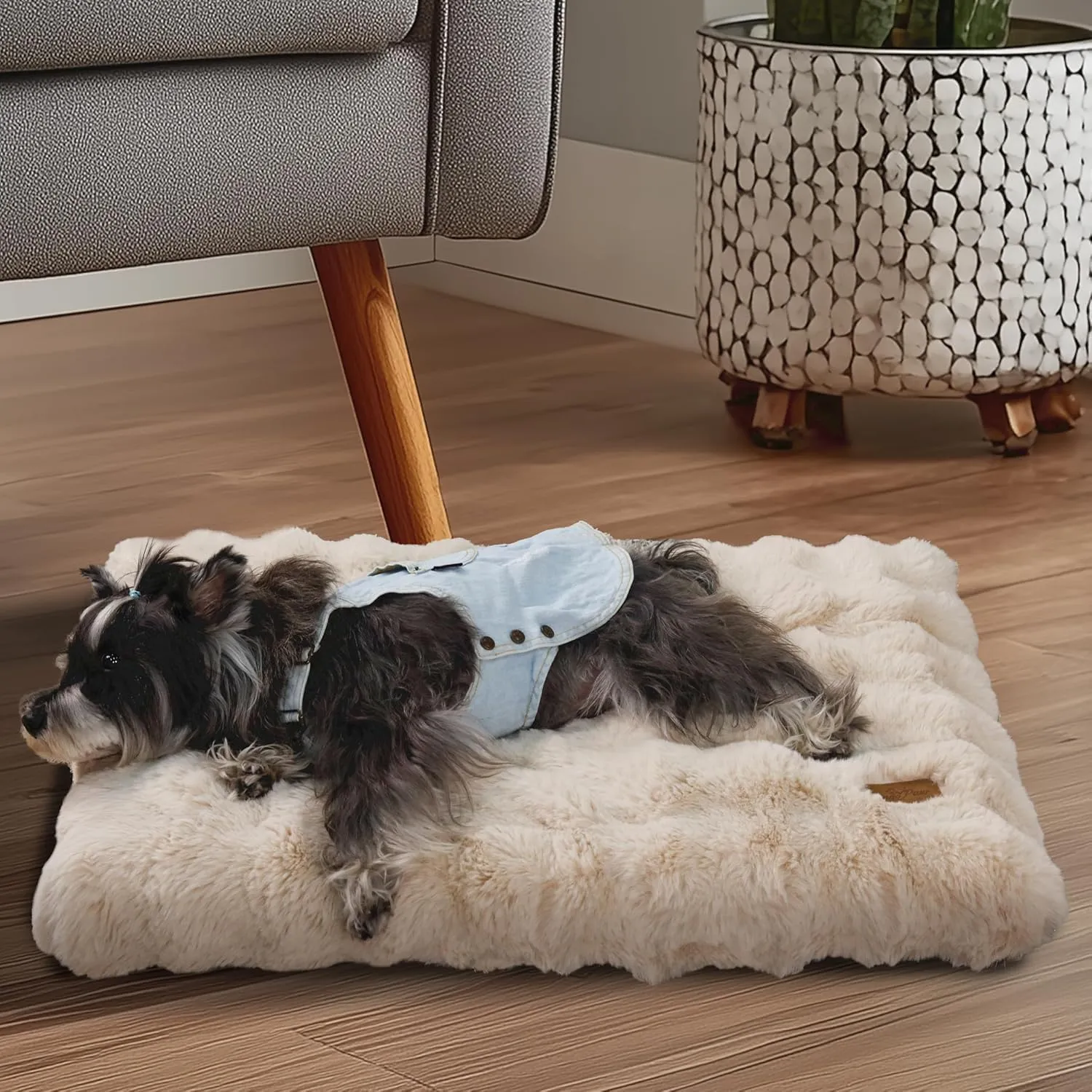 BingoPaw Cuccia Cane Interno, 90x60x10cm, Beige - immagine 4