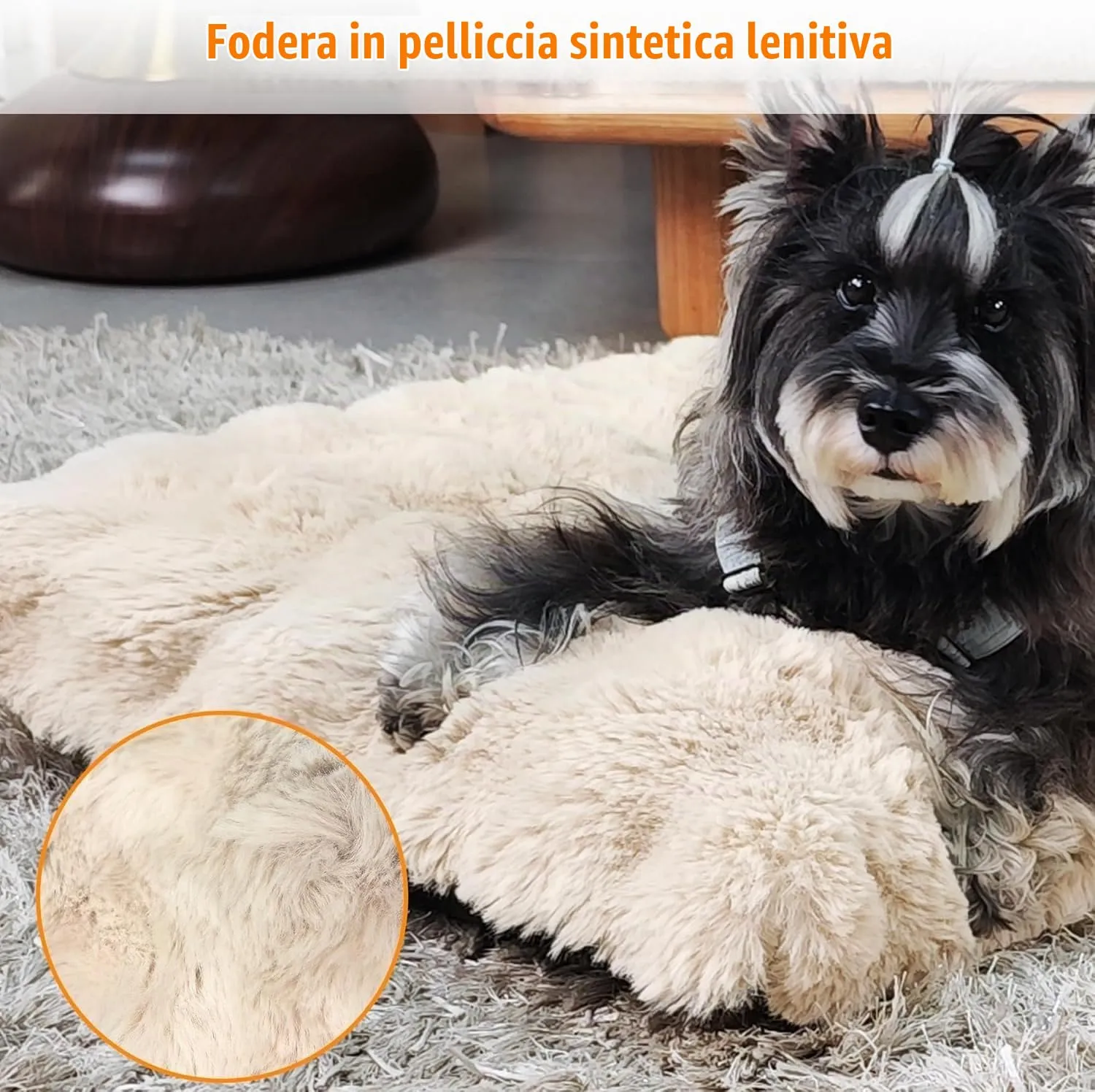 BingoPaw Cuccia Cane Interno, 90x60x10cm, Beige - immagine 5