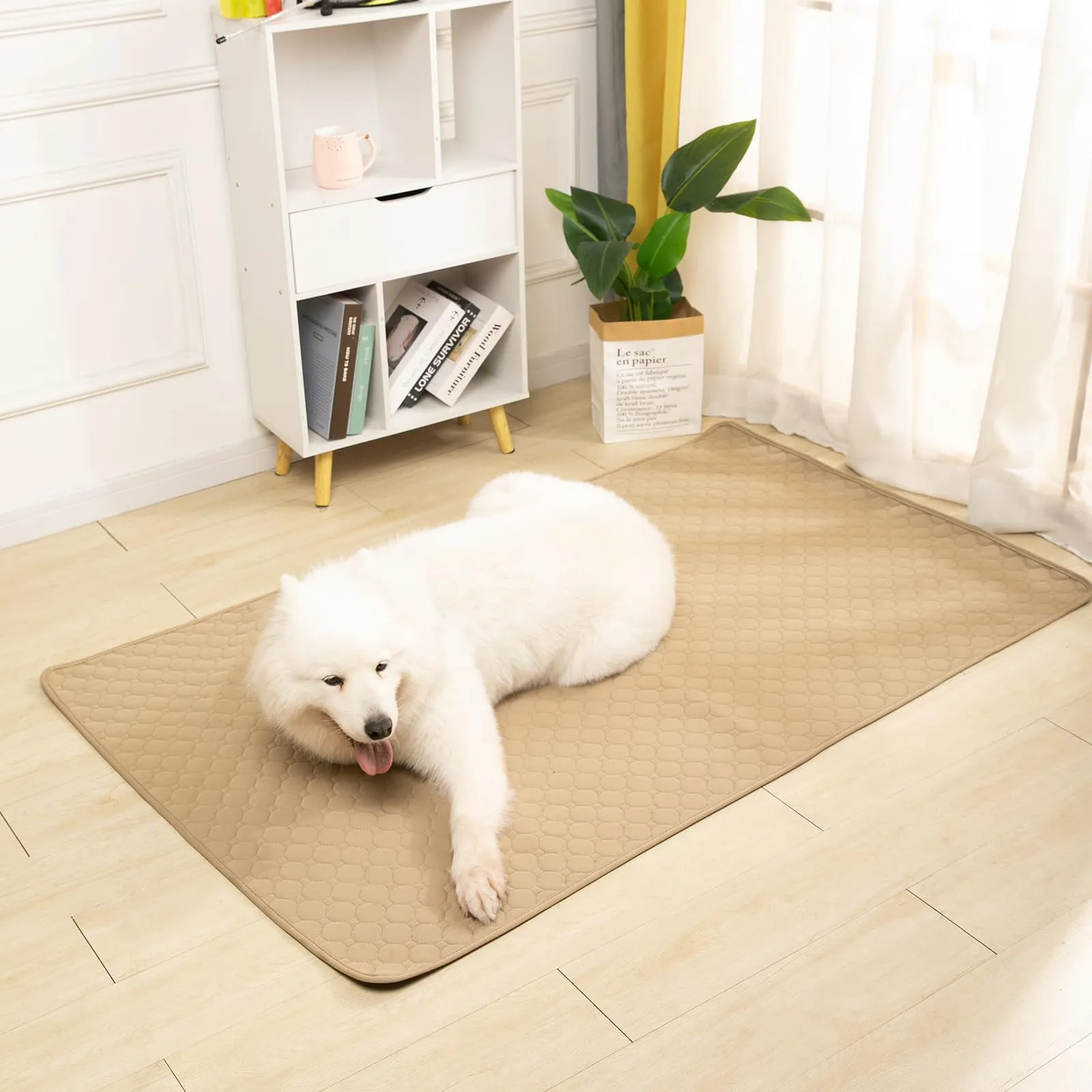 E-THOL Set di 2 tappetini da allenamento per cani e gatti, lavabili e riutilizzabili, marrone, 50 x 70 cm - immagine 8
