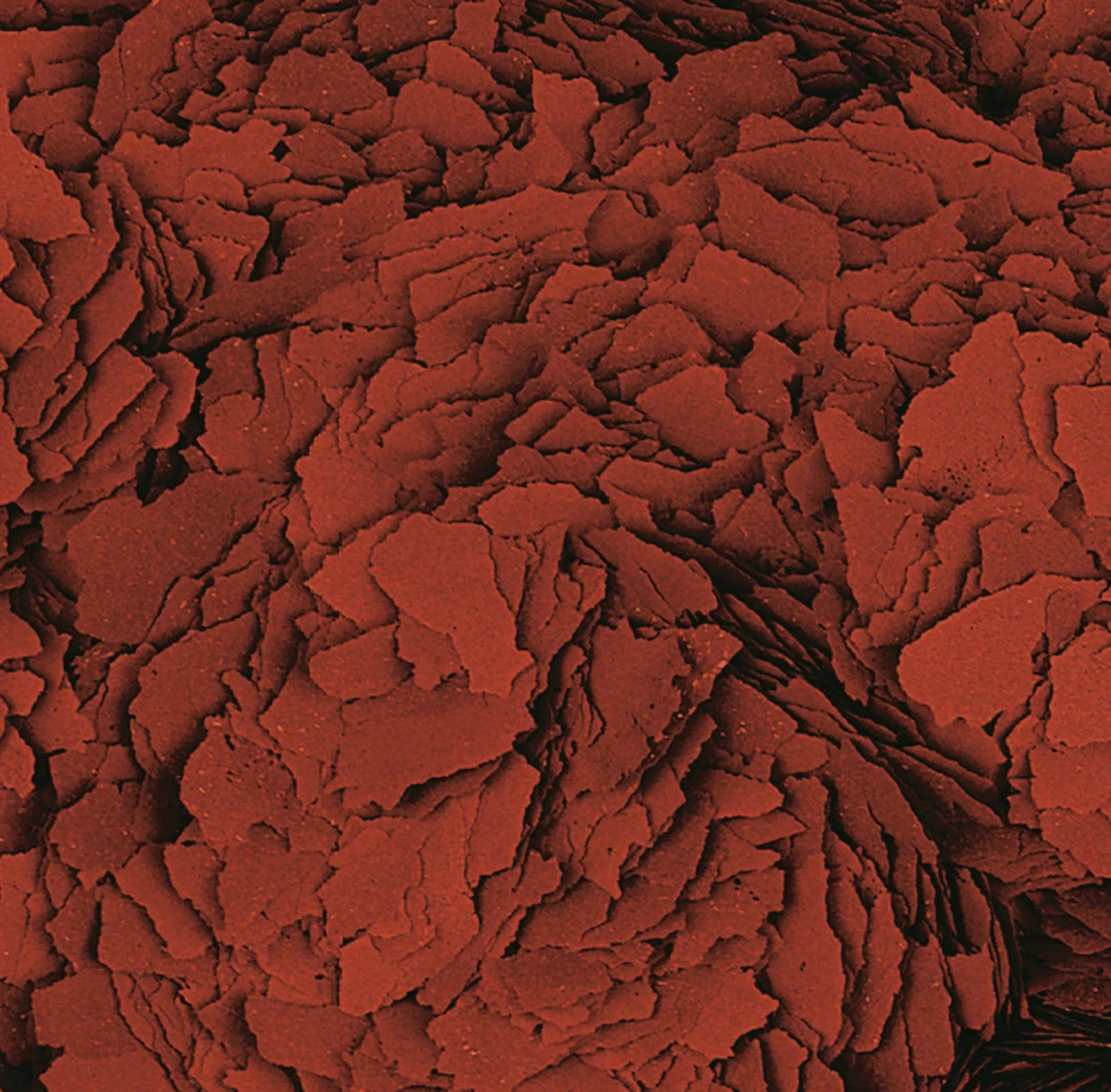 Tropical Astacolor Mangime per Pesci 1kg - immagine 2