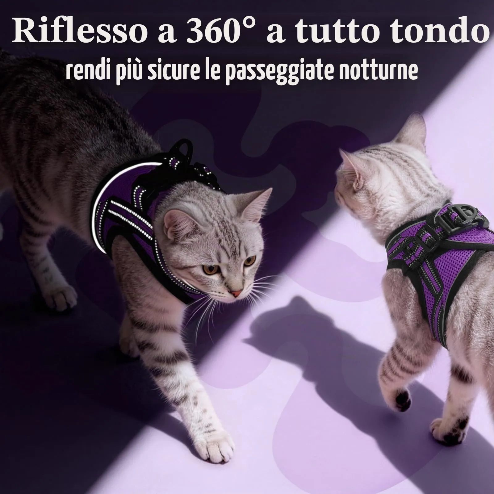 rabbitgoo Pettorina Antifuga e Guinzaglio per Gatti, Riflettente e Regolabile, Taglia M, Viola - immagine 6