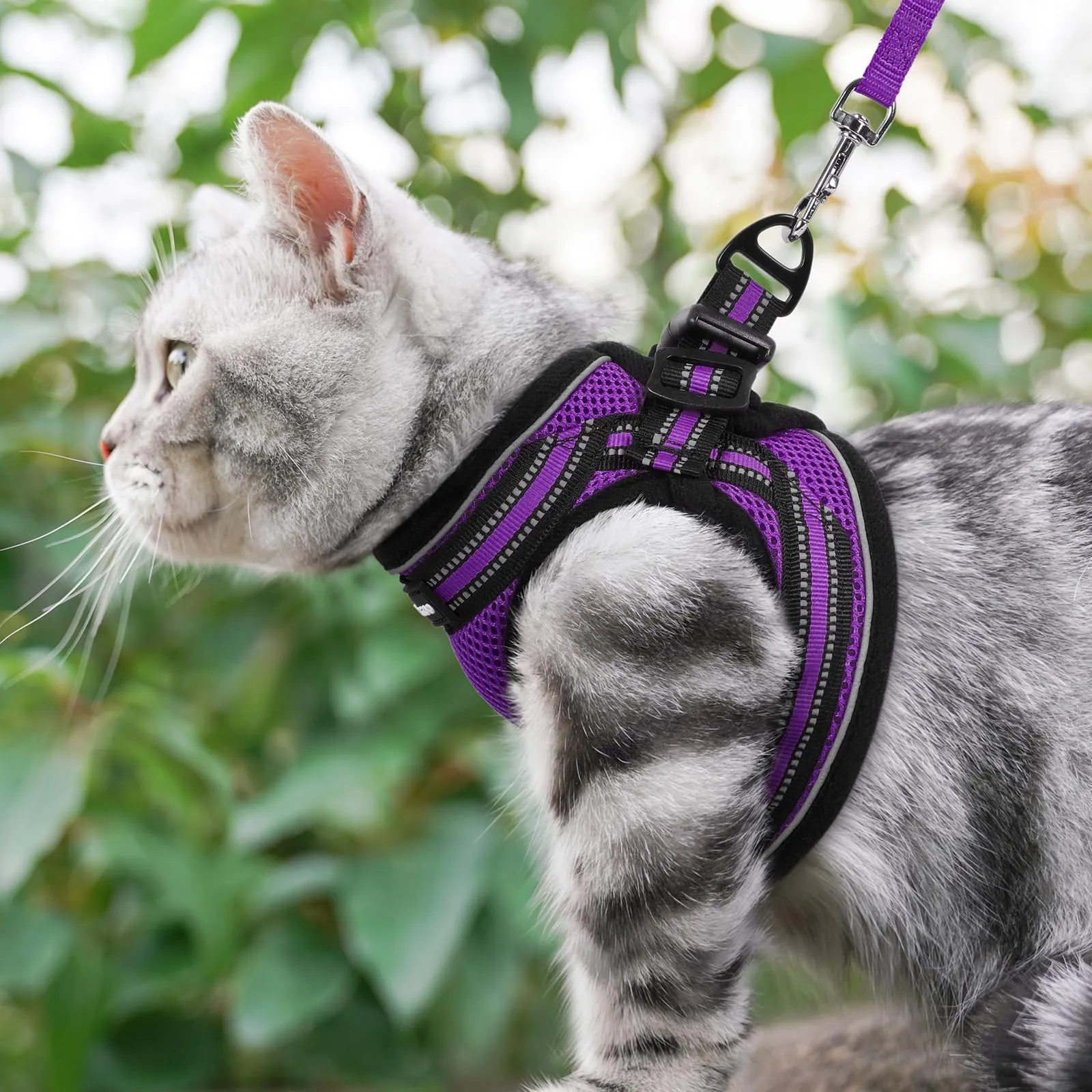 rabbitgoo Pettorina Antifuga e Guinzaglio per Gatti, Riflettente e Regolabile, Taglia M, Viola - immagine 10