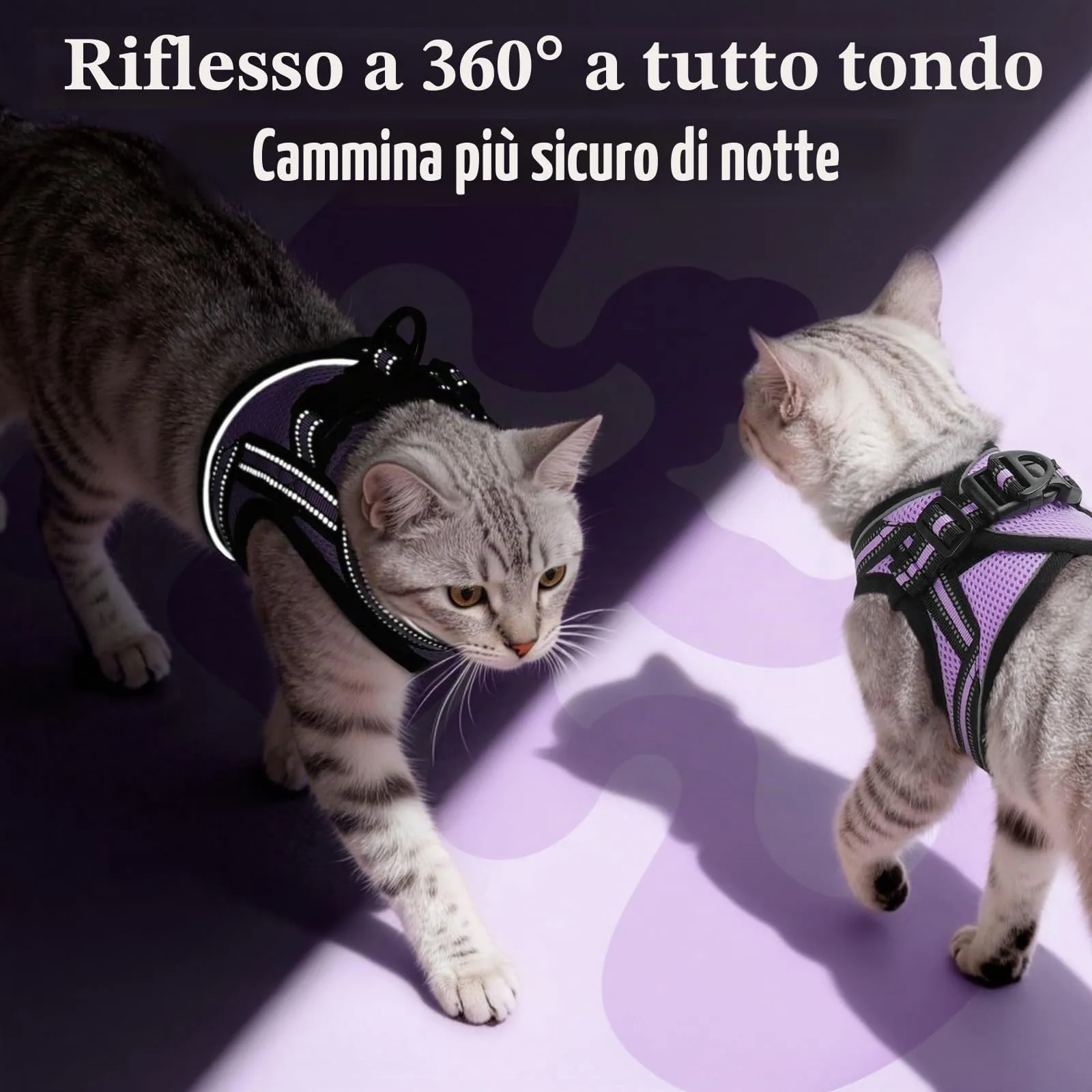 rabbitgoo Pettorina e Guinzaglio Antifuga per Gatti, Riflettente e Regolabile, S, Viola Chiaro - immagine 5