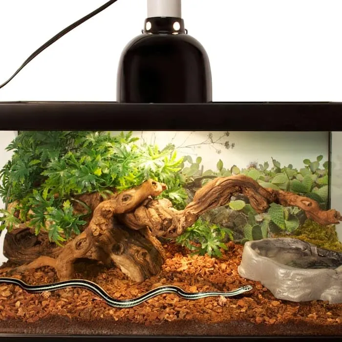 Zoo Med Repti Bark 4 Quarts - immagine 2