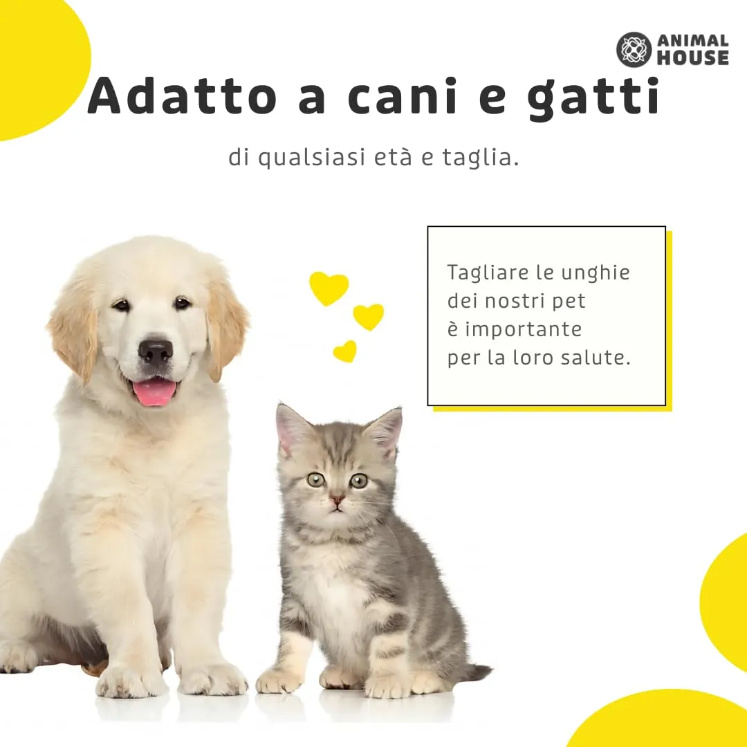 Animal House Precision Pro - immagine 4