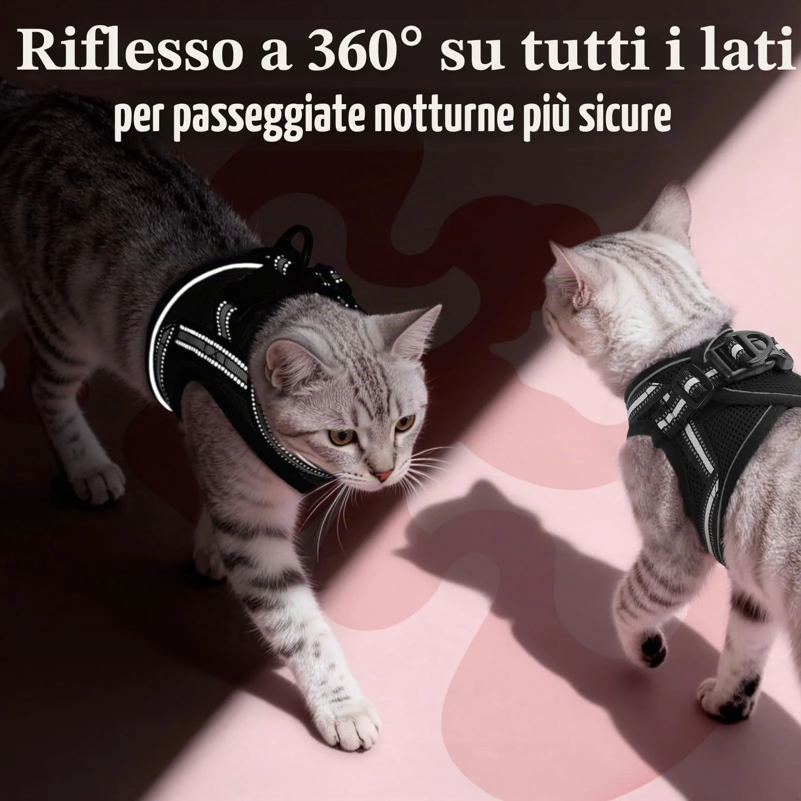 rabbitgoo Pettorina e Guinzaglio Antifuga per Gatti, Riflettente e Regolabile, M, Nero - immagine 6